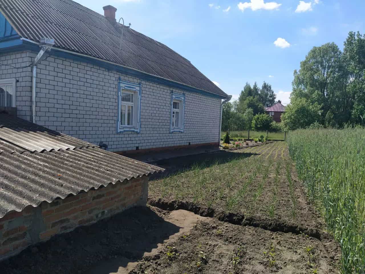 Беларусь, Брестская область, Столинский район, Хоромский сельсовет, деревня Туры, Новая улица, 17, фото 3