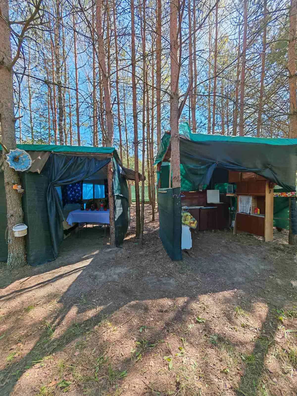 Беларусь, Минская область, Червенский район, Ляденский сельсовет, садоводческое товарищество Ведрица, 21, фото 5
