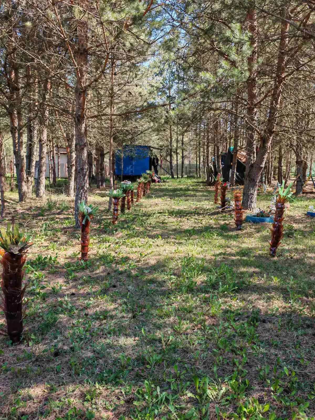 Беларусь, Минская область, Червенский район, Ляденский сельсовет, садоводческое товарищество Ведрица, 21, фото 2
