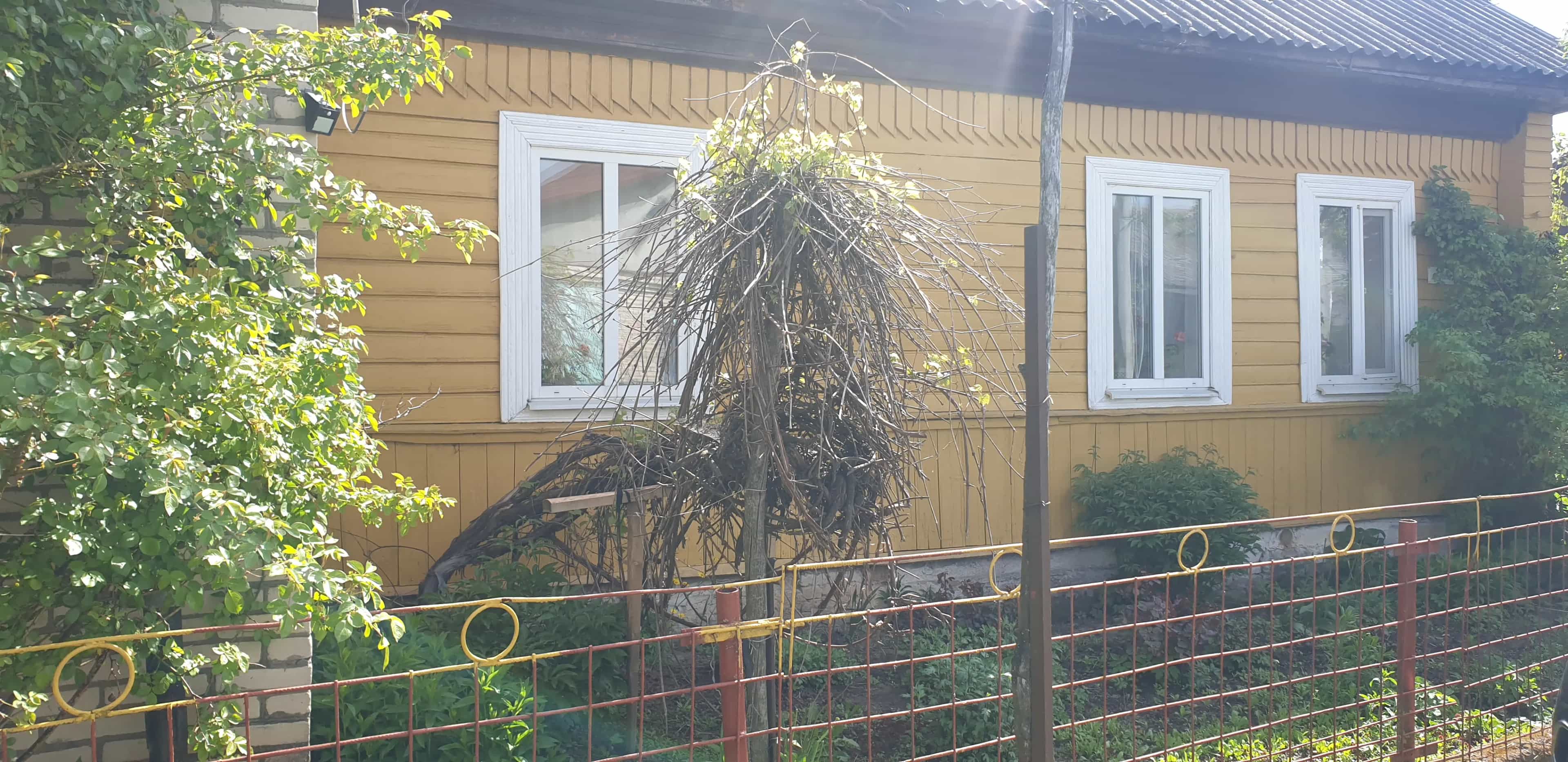 Беларусь, Могилёвская область, Кричев, Пионерский переулок, 4