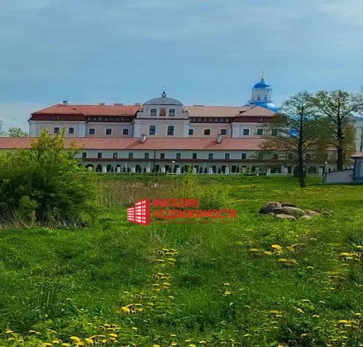 Беларусь, Гродненская область, Слонимский район, агрогородок Жировичи, Соборная улица, 85, фото 8