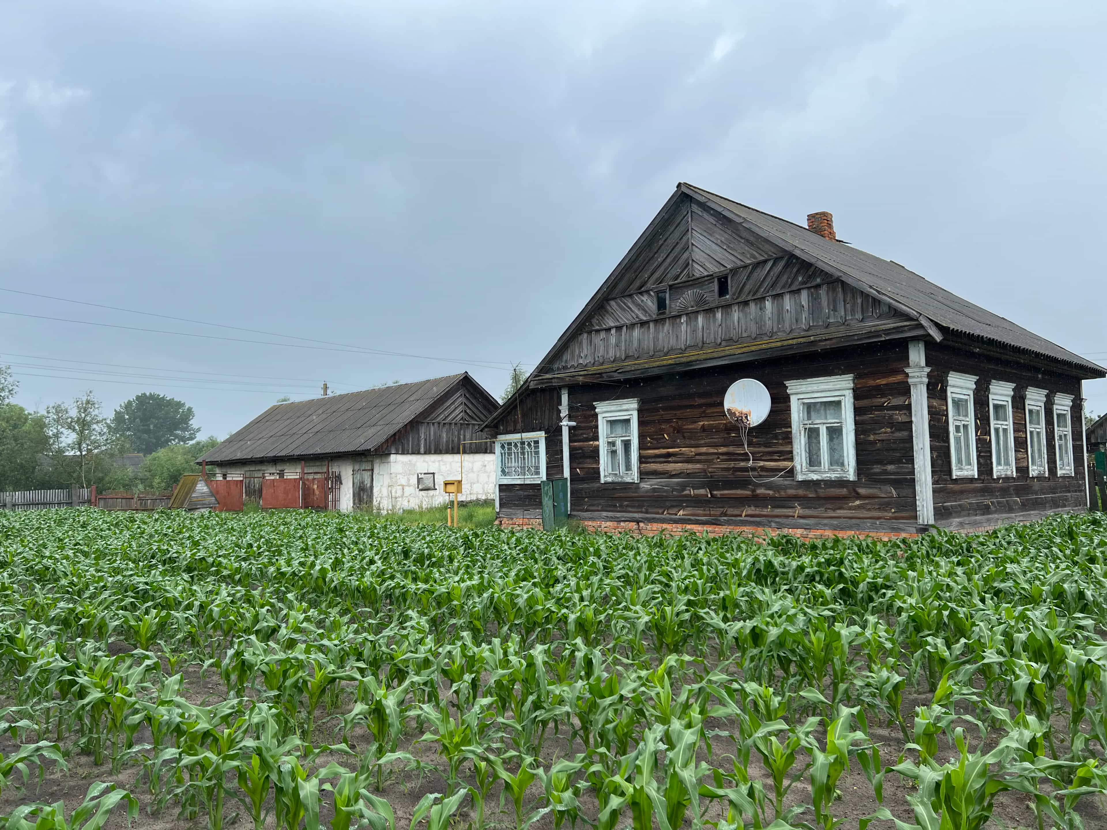 Беларусь, Брестская область, Столинский район, агрогородок Рубель, Пионерская улица, 11, фото 2