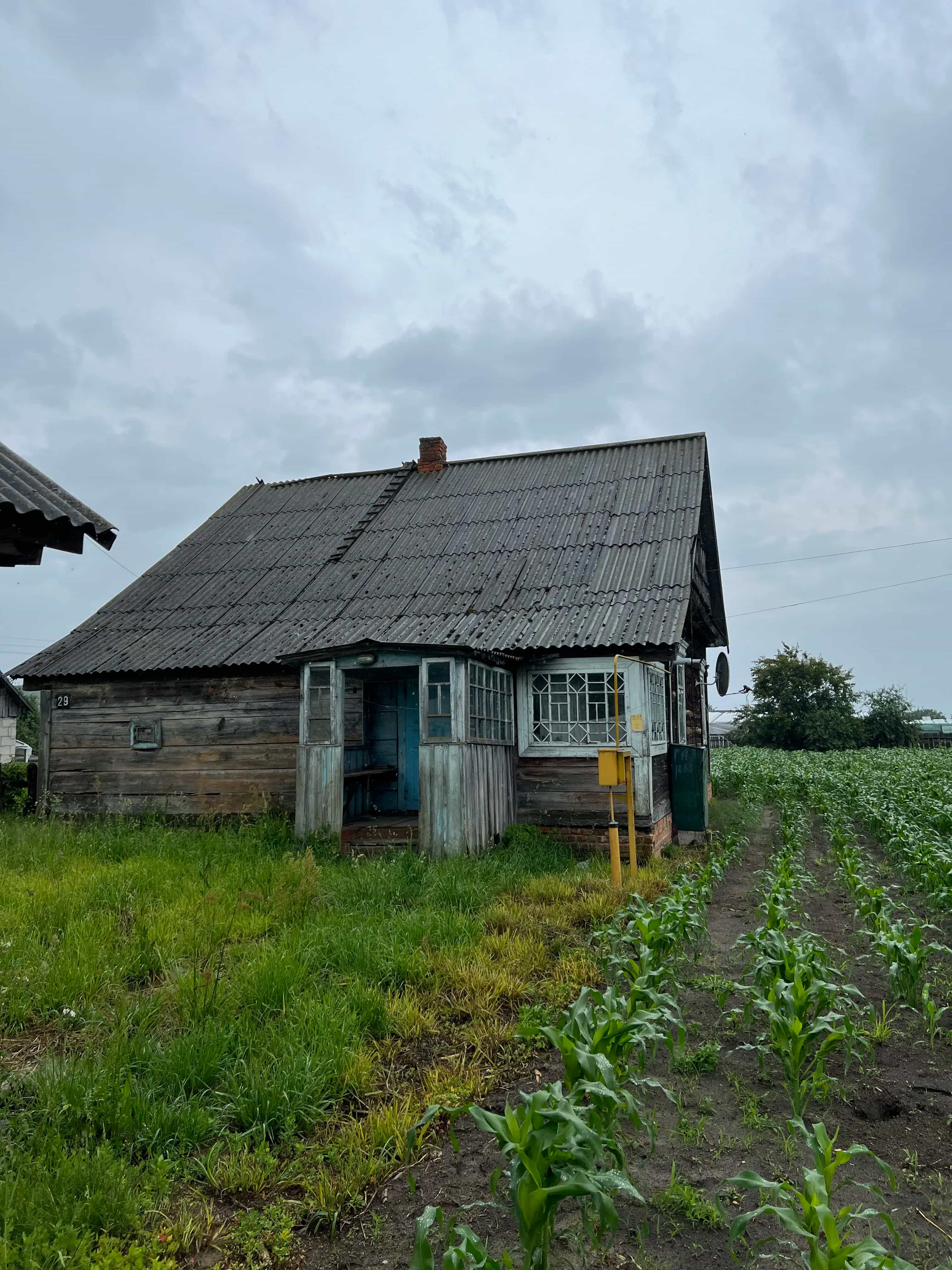 Беларусь, Брестская область, Столинский район, агрогородок Рубель, Пионерская улица, 11, фото 4