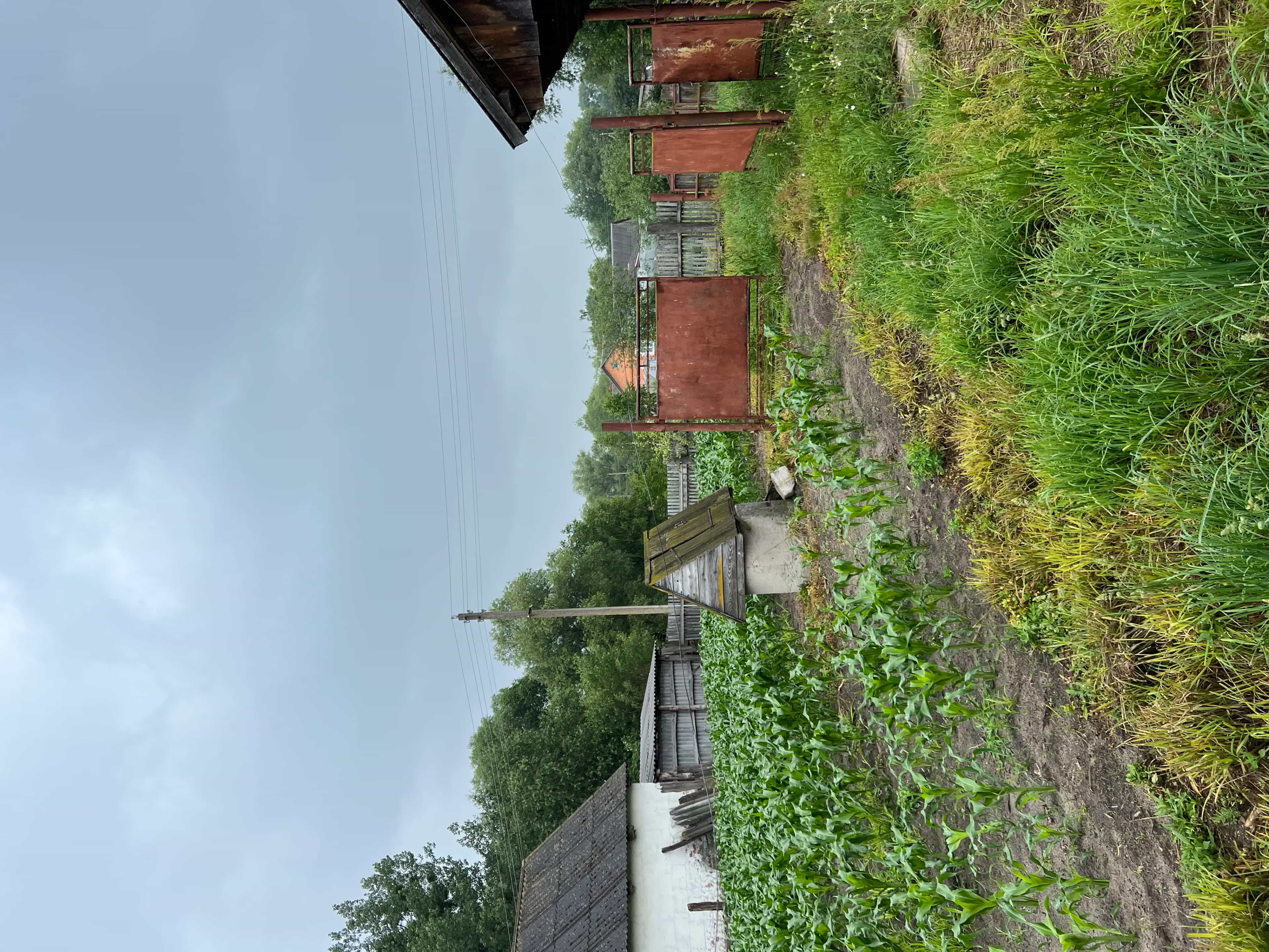 Беларусь, Брестская область, Столинский район, агрогородок Рубель, Пионерская улица, 11, фото 5