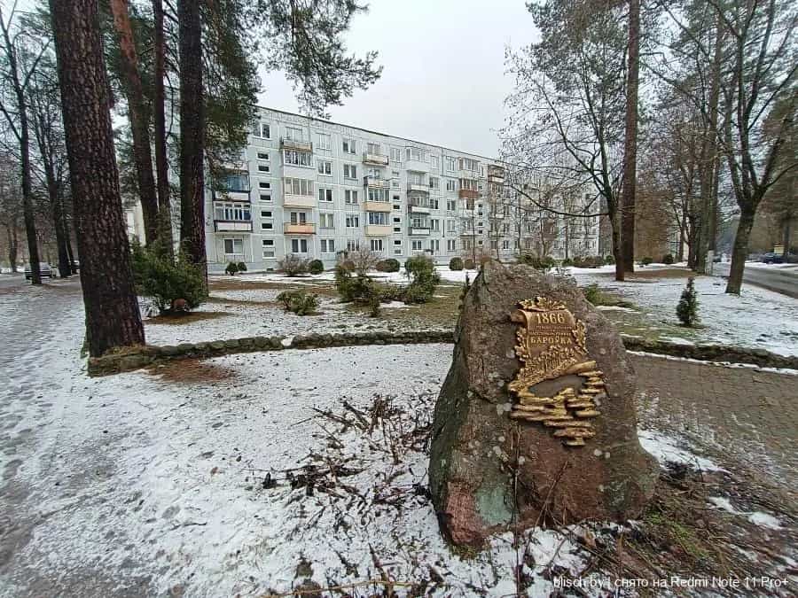 Беларусь, Витебская область, Лепельский район, Боровский сельсовет, деревня Боровка, 5к4, фото 2