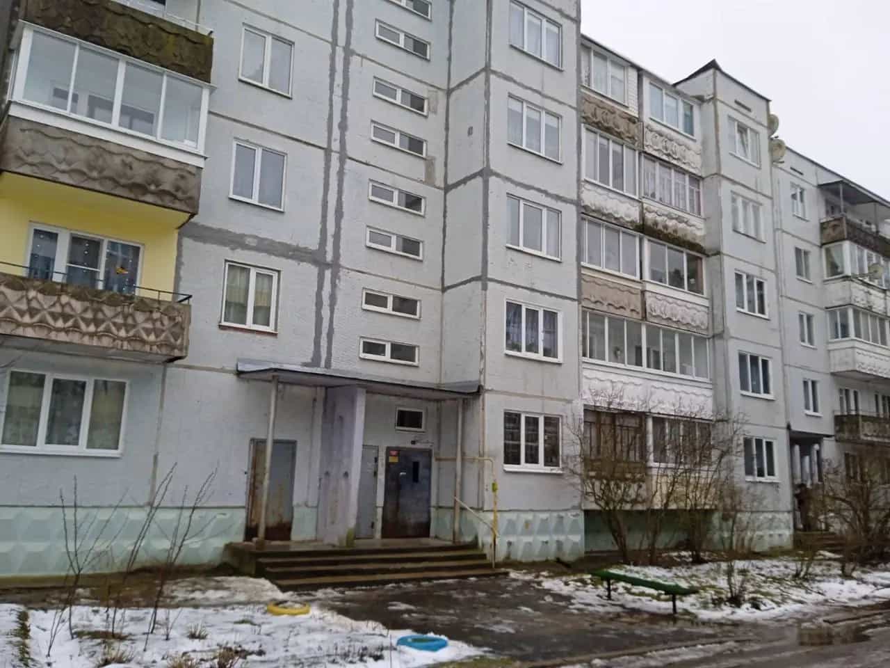 Беларусь, Витебская область, Лепельский район, Боровский сельсовет, деревня Боровка, 5к4, фото 4