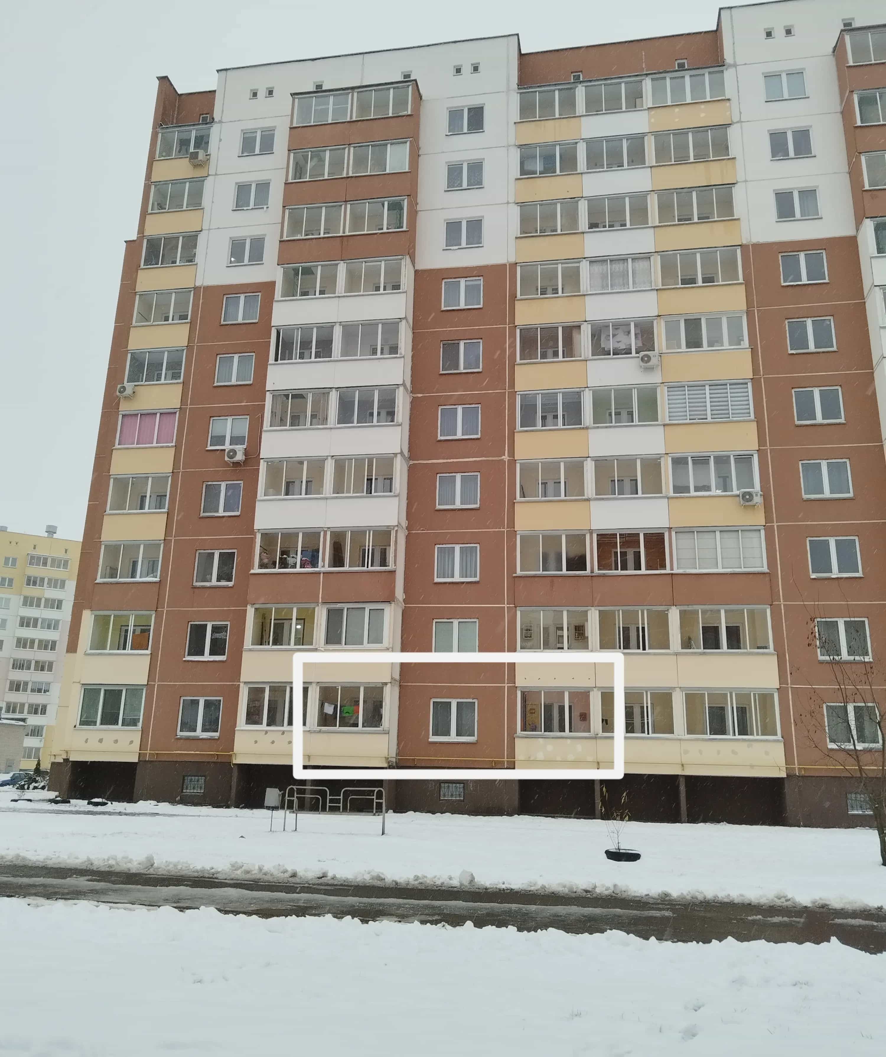 Беларусь, Витебск, улица Актёров Ерёменко, 8, фото 12