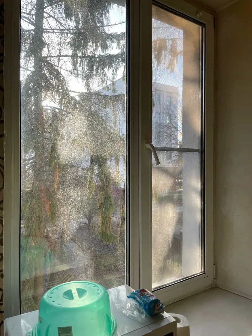 Беларусь, Гомель, улица Кирова, 15А, фото 9