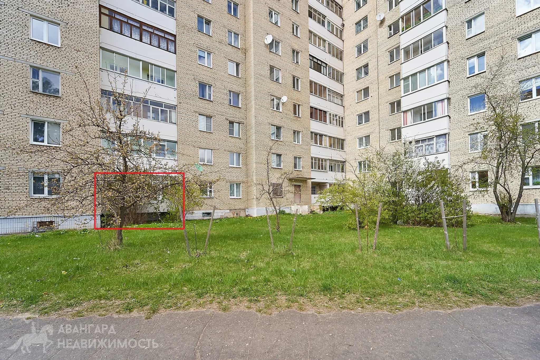 Беларусь, Минская область, Борисов, улица Строителей, 43, фото 3