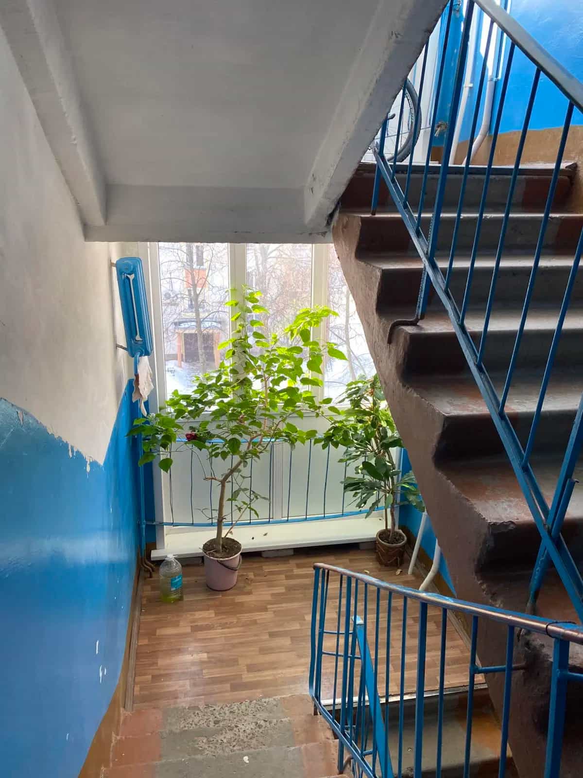 Беларусь, Гомельская область, Жлобин, 1-й микрорайон, 11, фото 5
