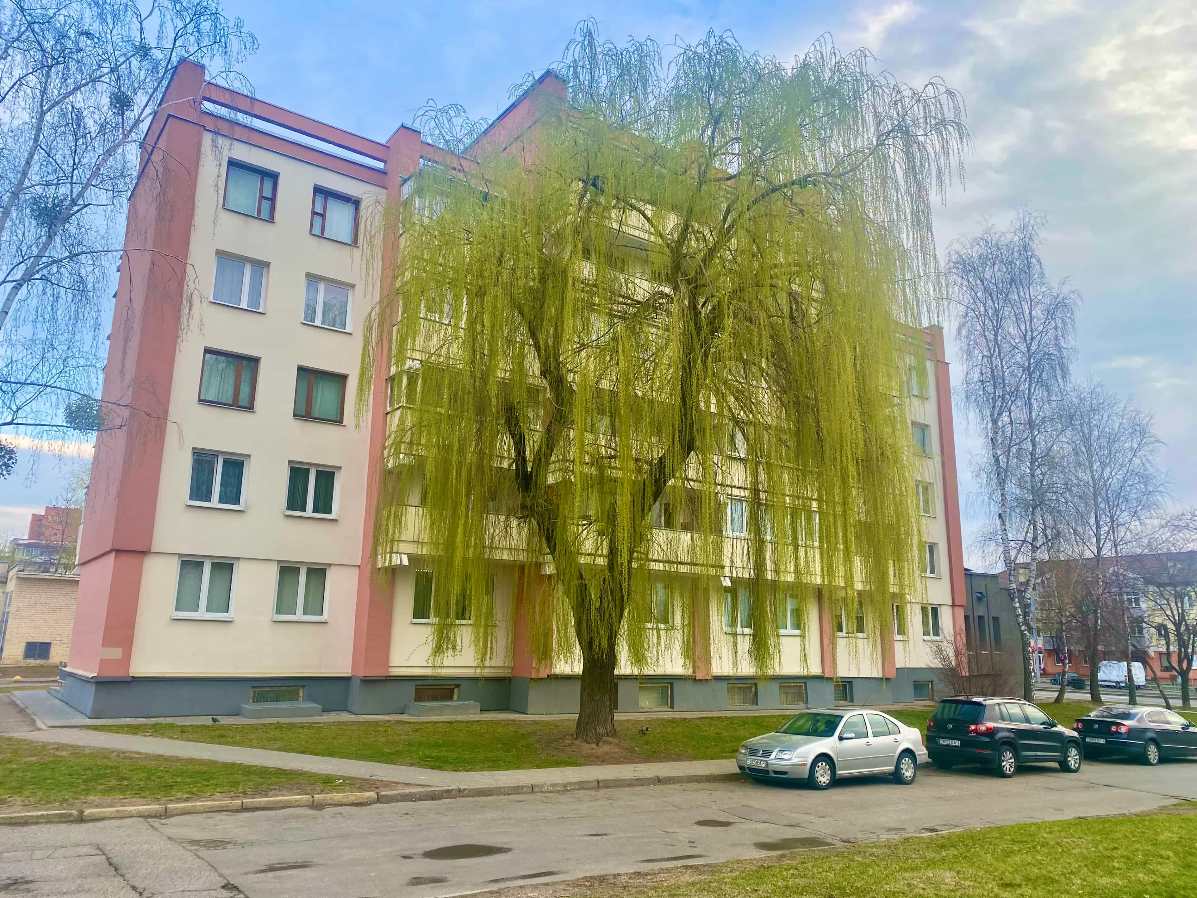 Беларусь, Гродно, улица Максима Горького, 50, фото 2