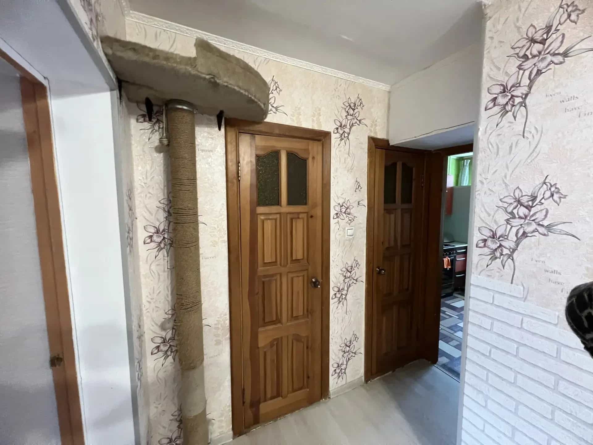 Беларусь, Витебск, улица Чапаева, 34к2, фото 12