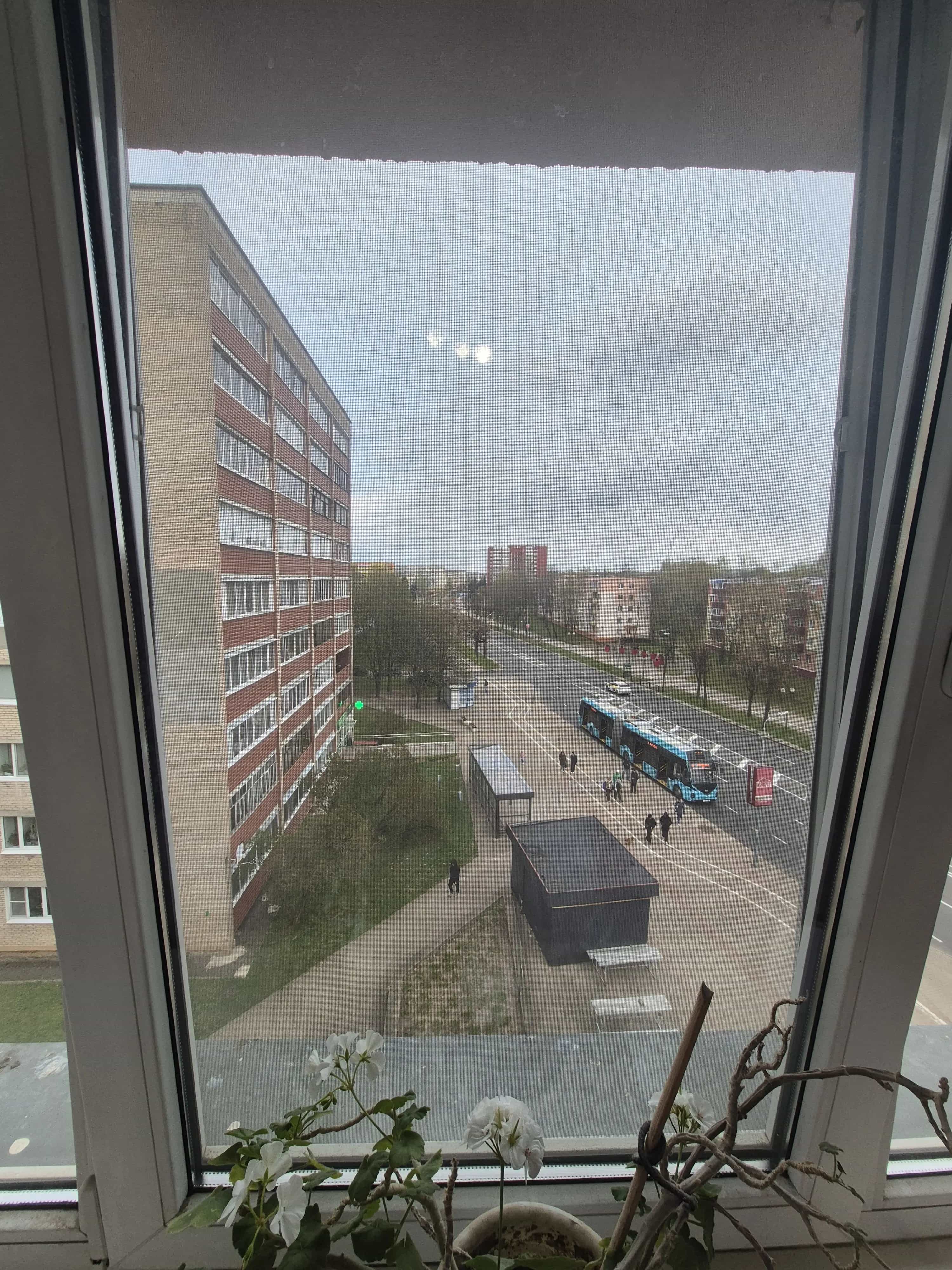 Беларусь, Витебская область, Новополоцк, Молодёжная улица, 71, фото 5