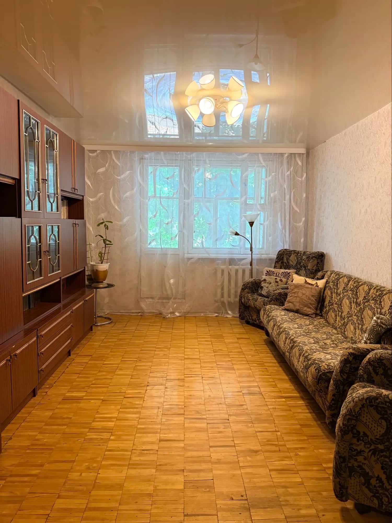 Беларусь, Могилёв, улица Королёва, 31, фото 2
