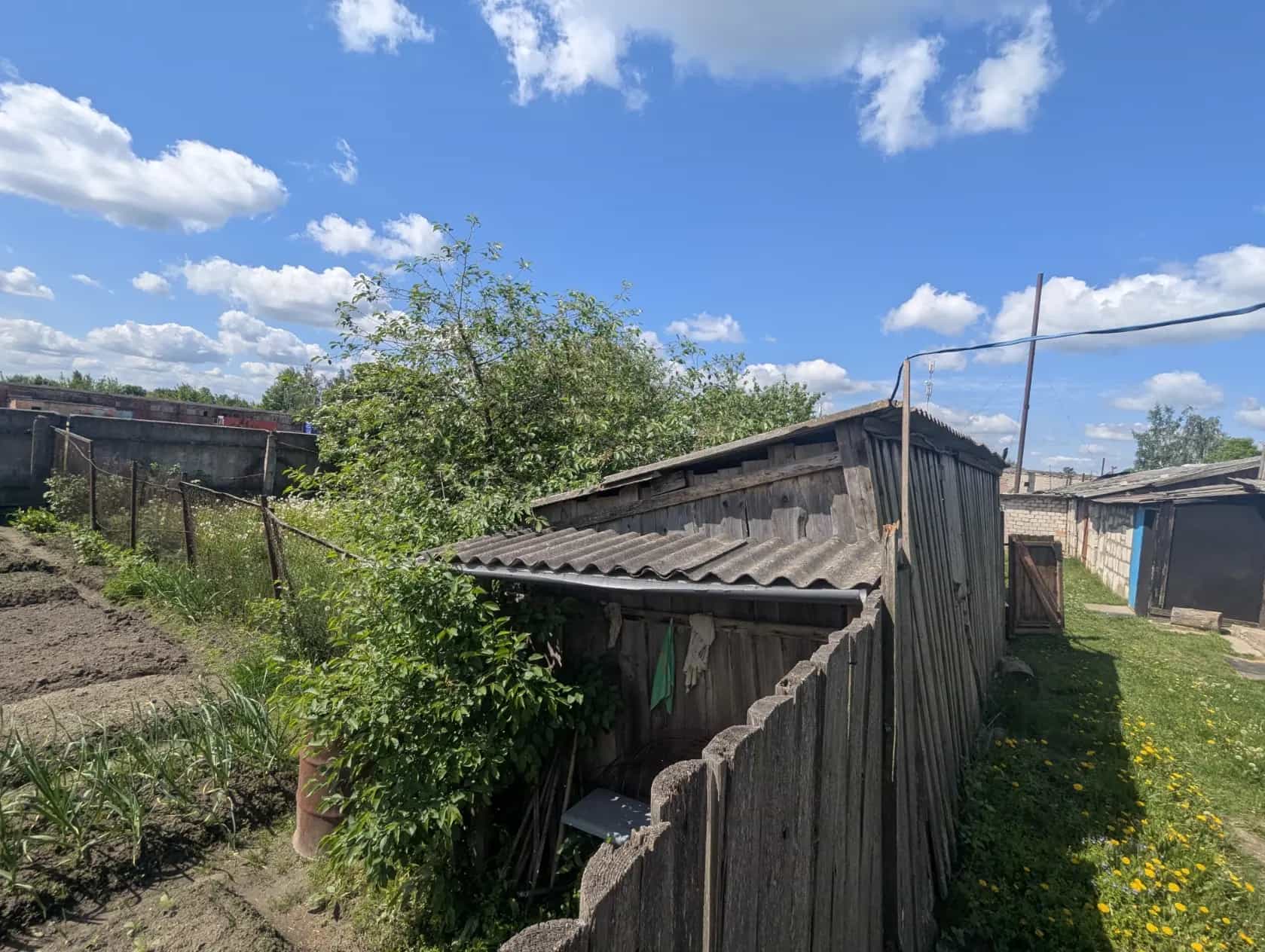 Беларусь, Могилёвская область, Белыничи, улица Дайнеко, 1, фото 9