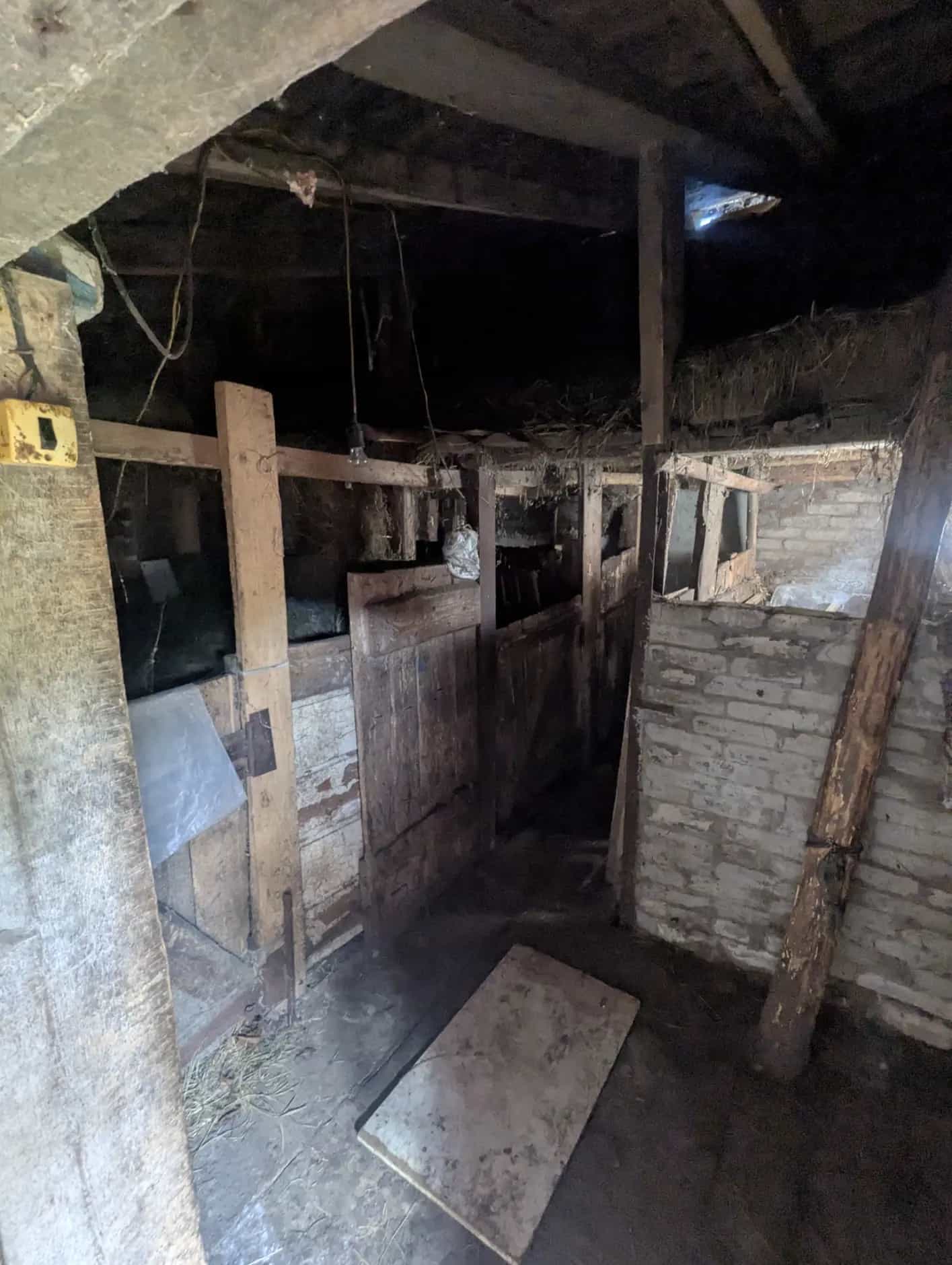 Беларусь, Могилёвская область, Белыничи, улица Дайнеко, 1, фото 16