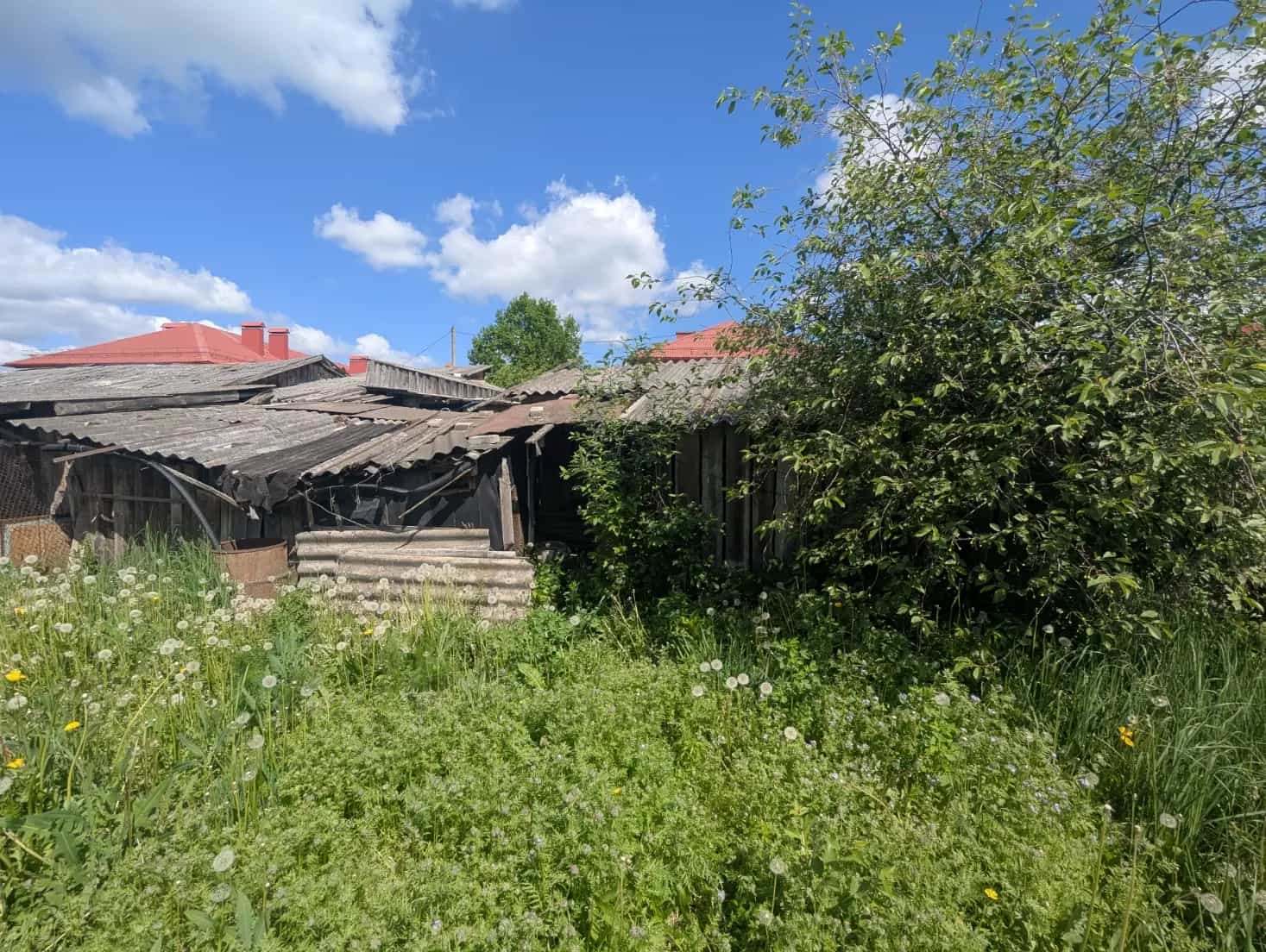 Беларусь, Могилёвская область, Белыничи, улица Дайнеко, 1, фото 18