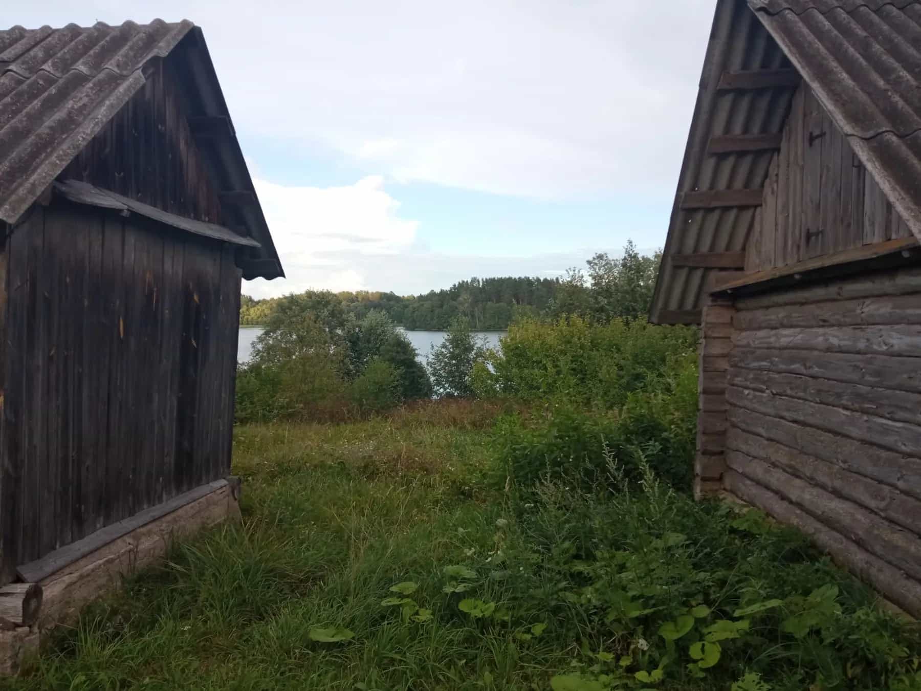 Беларусь, Витебская область, Россонский район, Краснопольский сельсовет, деревня Заборье, Береговая улица, 12, фото 3