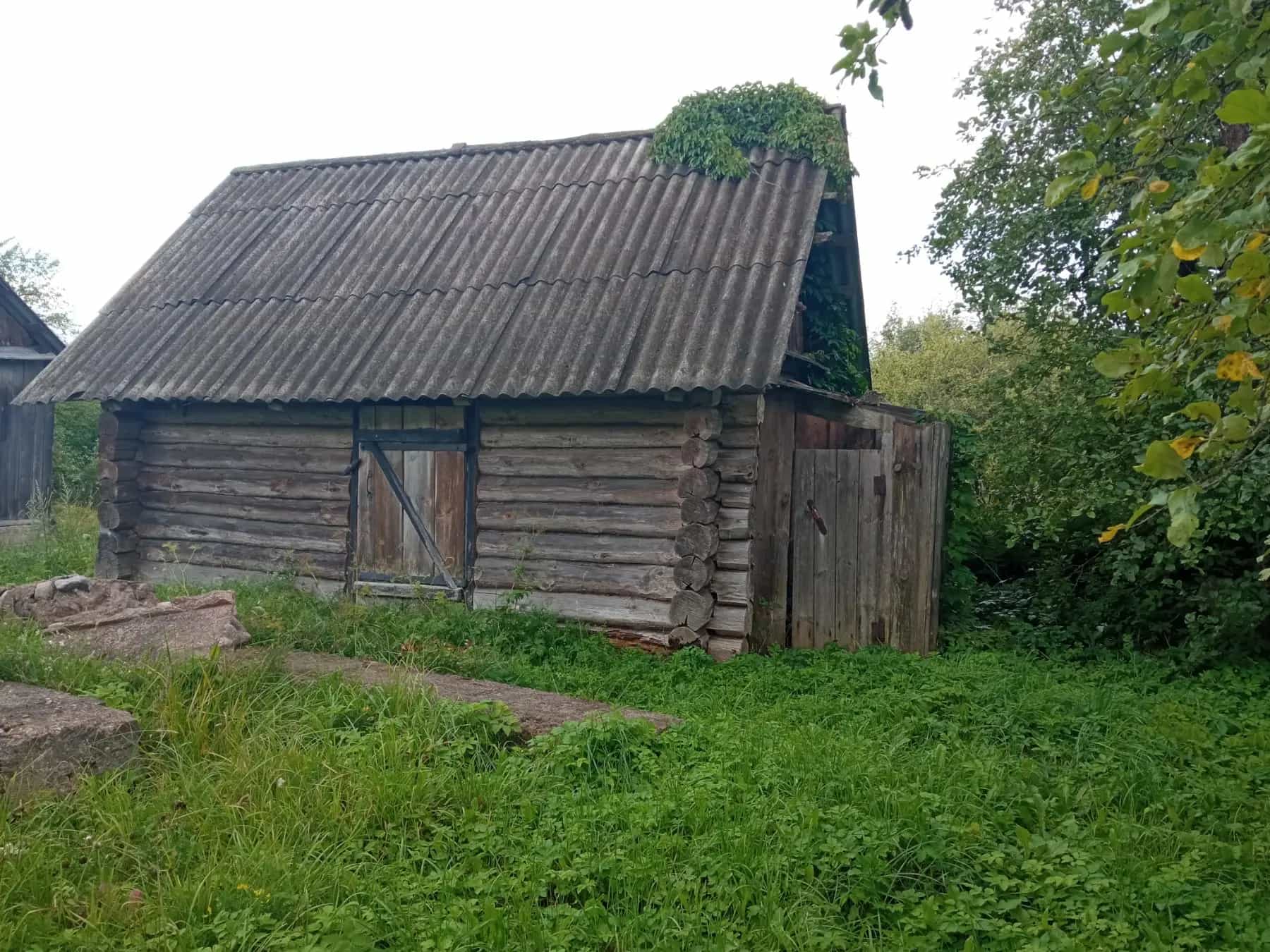 Беларусь, Витебская область, Россонский район, Краснопольский сельсовет, деревня Заборье, Береговая улица, 12, фото 6