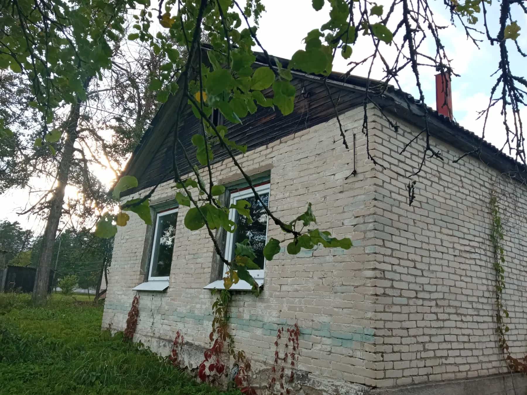 Беларусь, Витебская область, Россонский район, Краснопольский сельсовет, деревня Заборье, Береговая улица, 12, фото 8