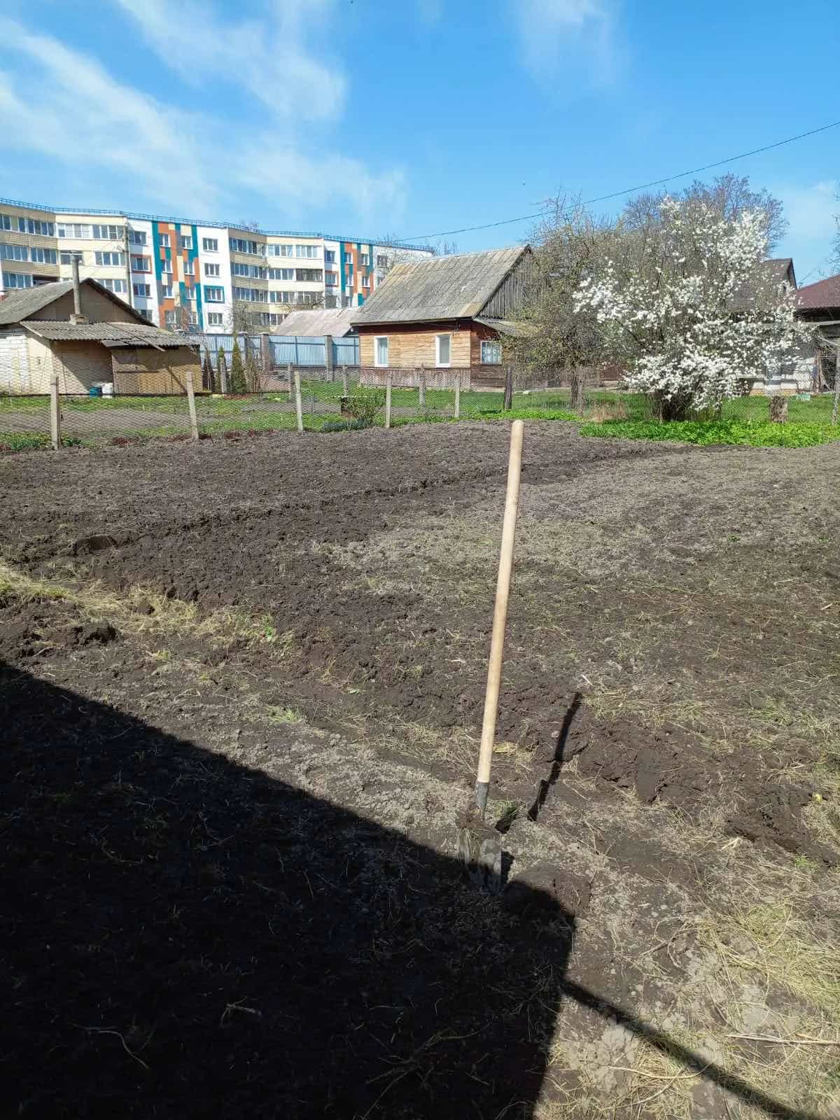 Беларусь, Гомельская область, Жлобин, улица Петровского, 42, фото 17