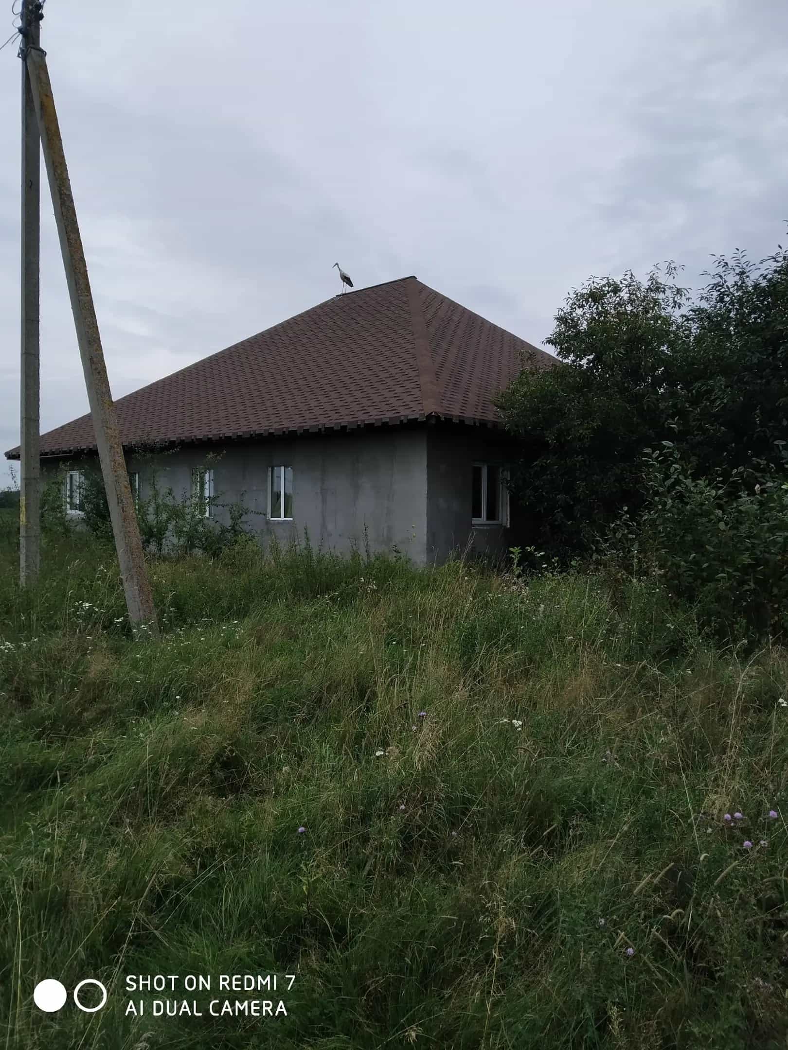 Беларусь, Брестская область, Пинский район, Оховский сельсовет, деревня Гончары, Пинская улица, 27, фото 3