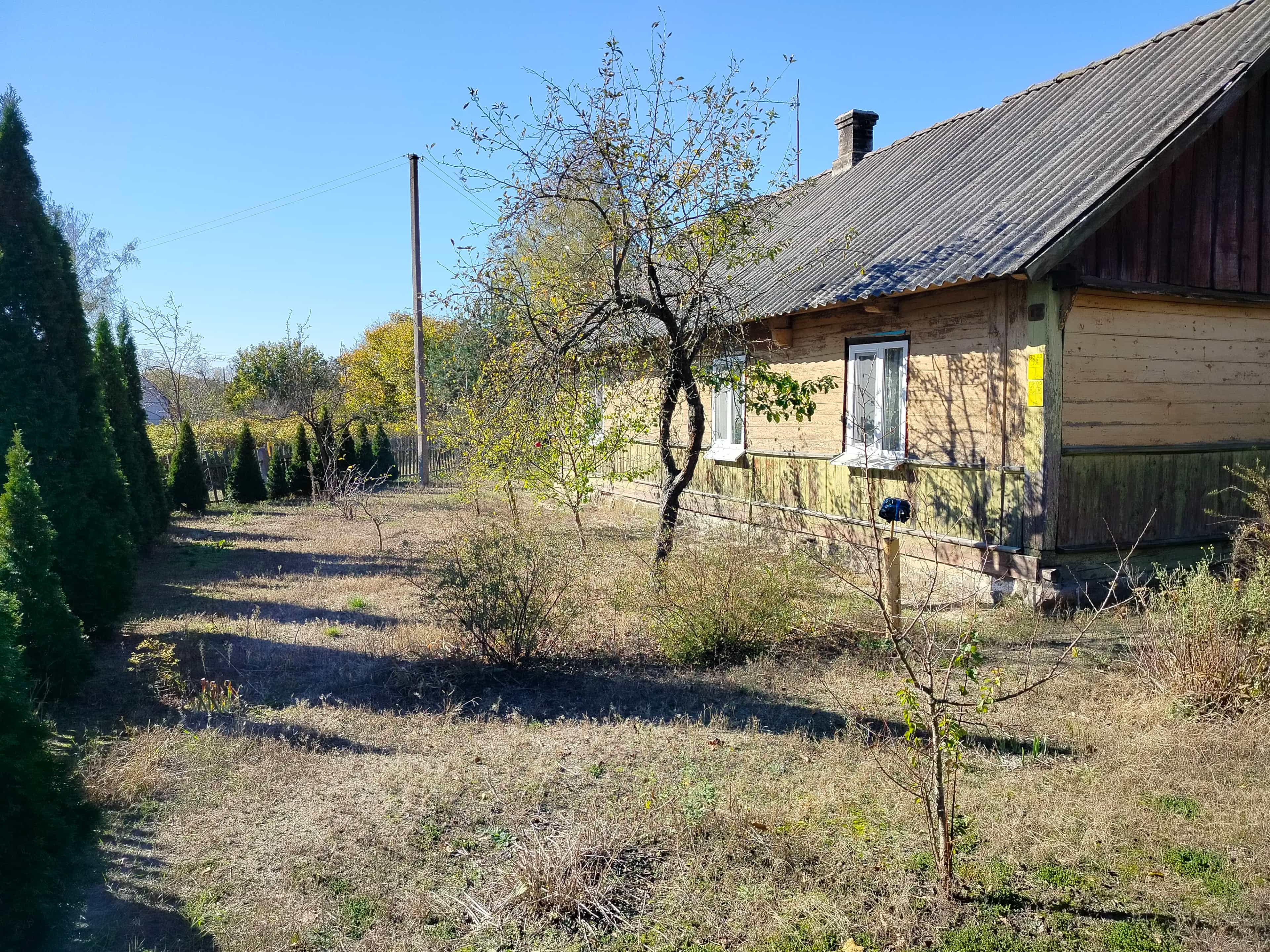 Беларусь, Брестский район, Домачевский сельсовет, деревня Леплёвка, Широкая улица, 35, фото 11