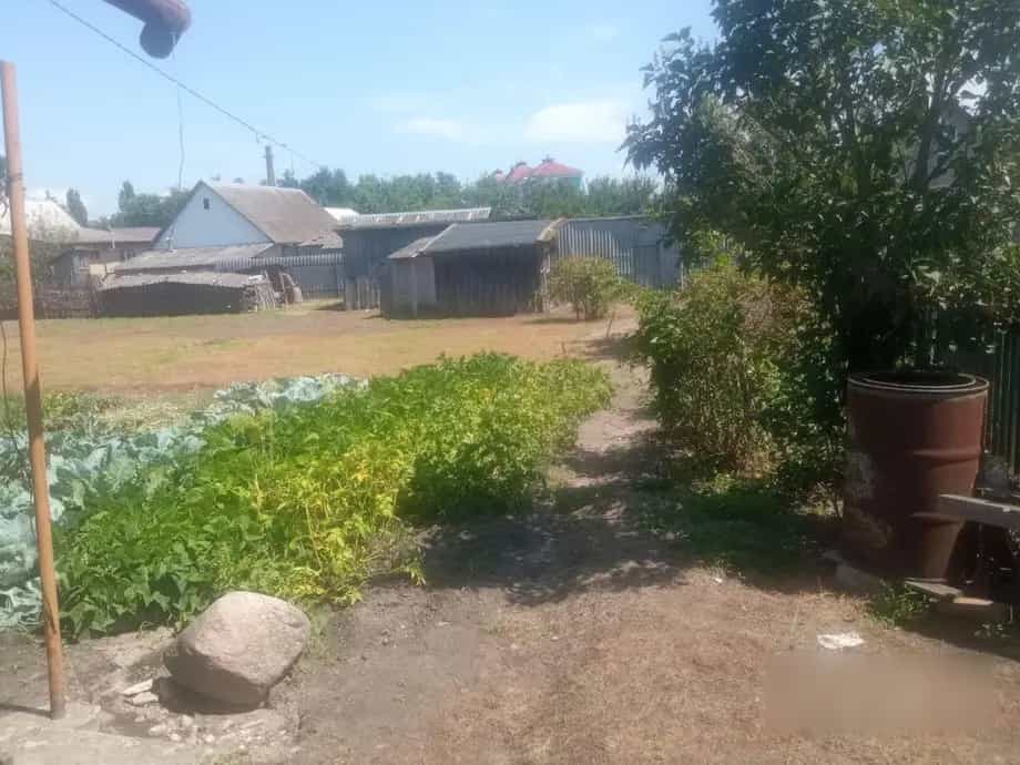 Беларусь, Брестская область, Пружаны, улица Заслонова, 2, фото 10