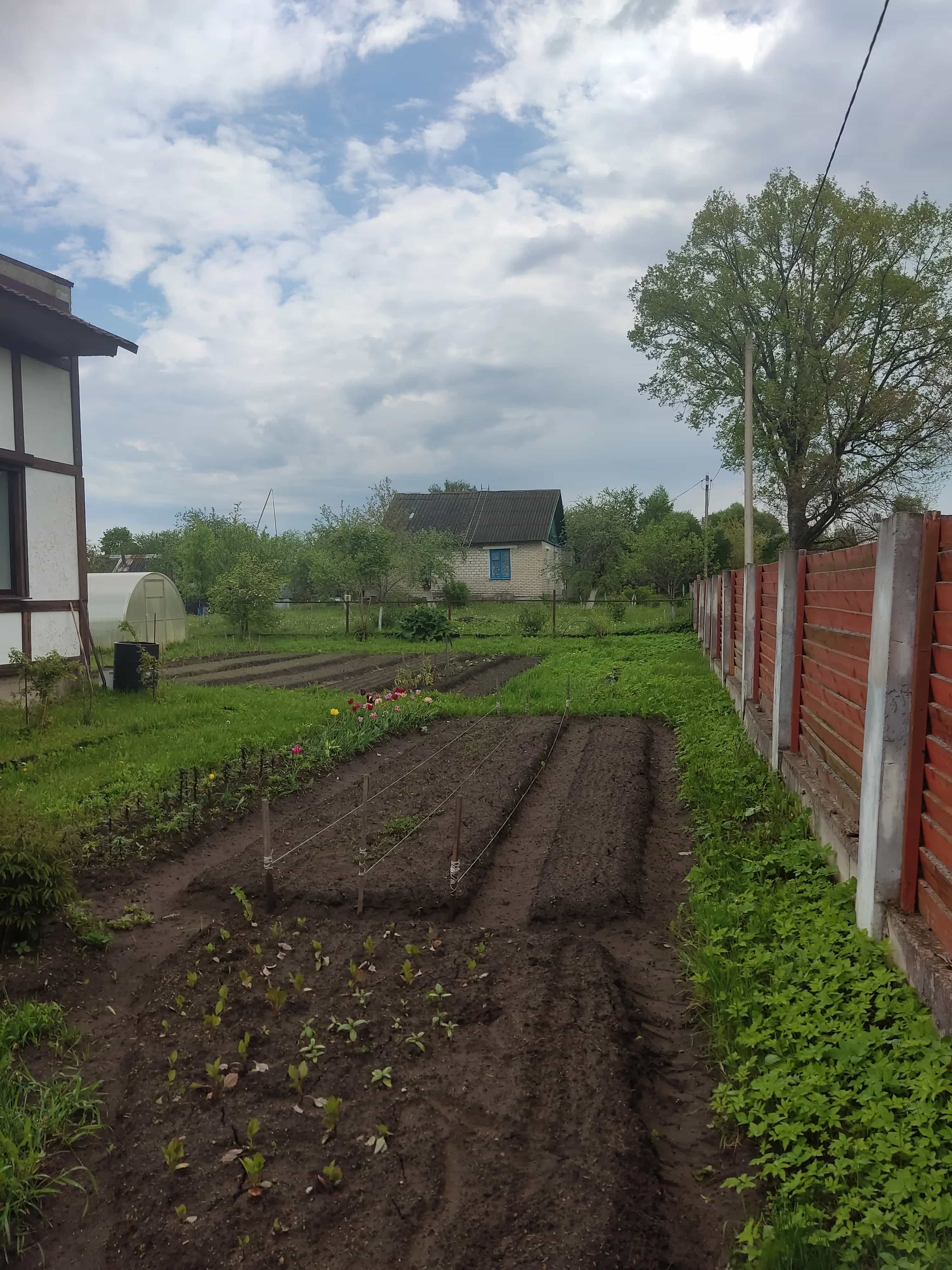 Беларусь, Витебская область, Полоцкий район, Фариновский сельсовет, агрогородок Рудня, Заречная улица, 10, фото 15