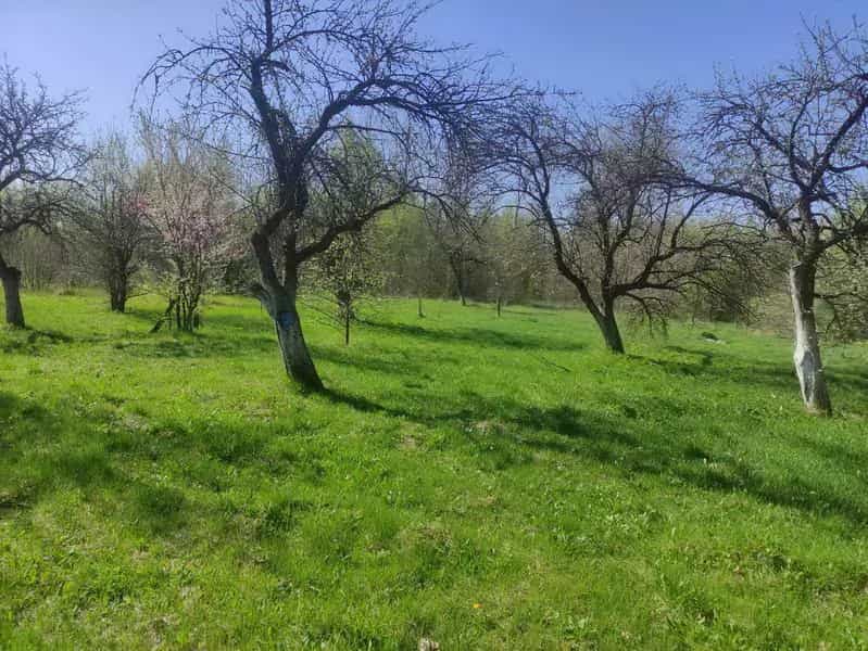 Беларусь, Брестская область, Пинский район, деревня Дубое, Брестская улица, 8, фото 4