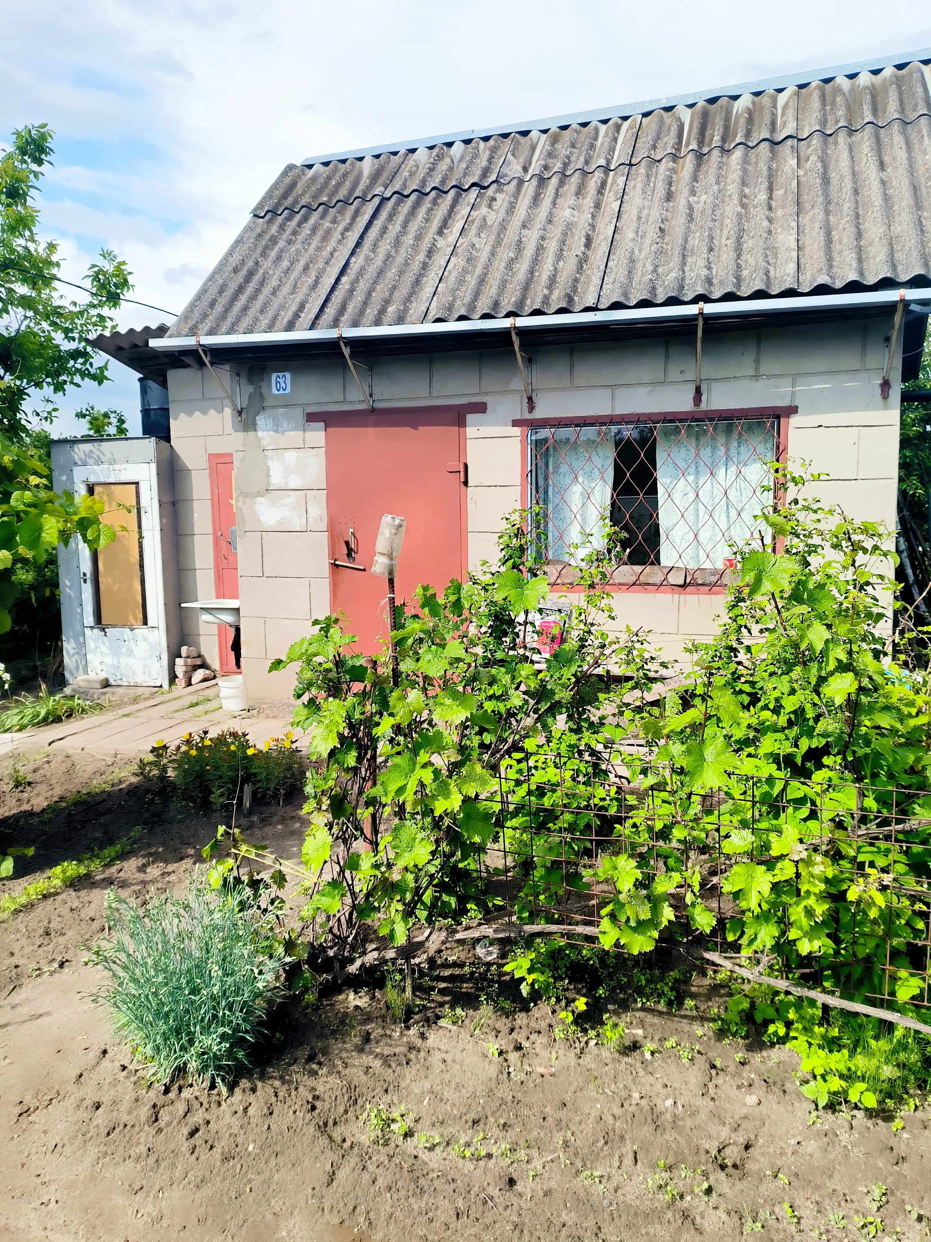 Беларусь, Гомельская область, Буда-Кошелёвский район, Коммунаровский сельсовет, садоводческое товарищество Особино, 64