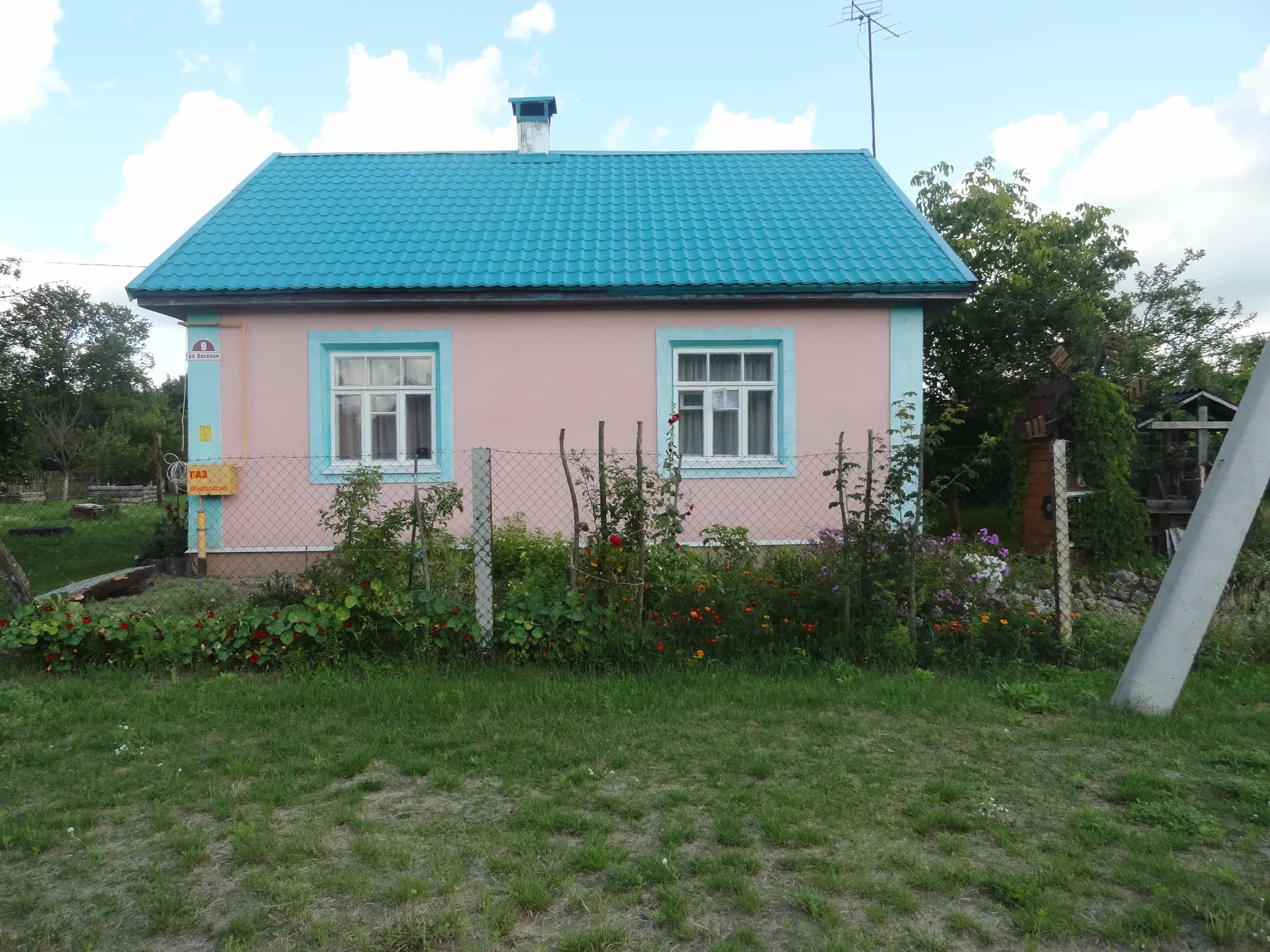 Беларусь, Брестская область, Пинский район, Молотковичский сельсовет, деревня Житновичи, Весёлая улица, 1, фото 4