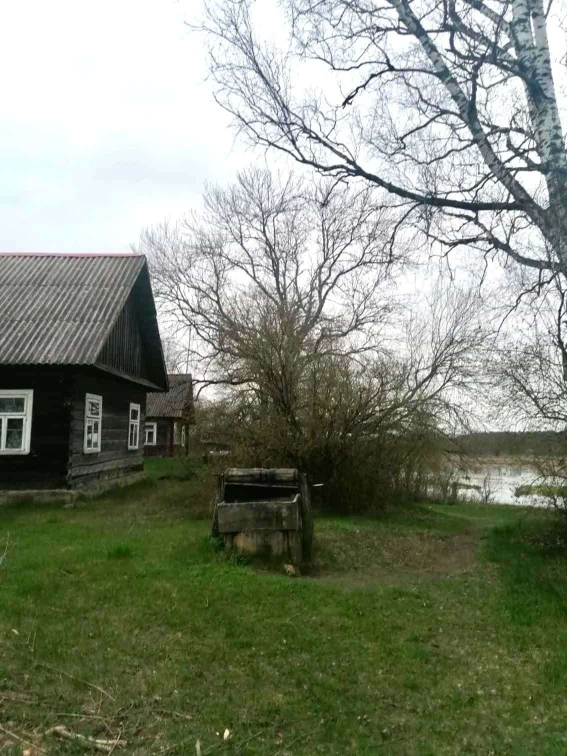 Беларусь, Гродненская область, Мостовский район, Куриловичский сельсовет, деревня Голубы, Подозёрная улица, 3, фото 6