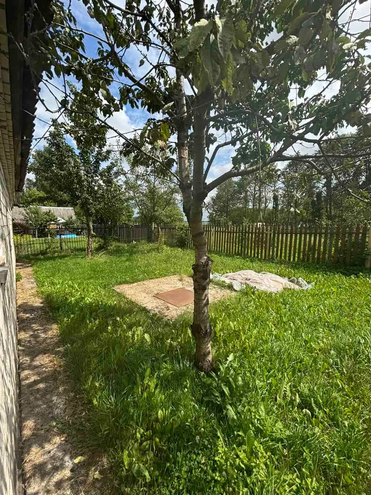 Беларусь, Витебская область, Орша, 2-й Дубровенский переулок, 22, фото 4