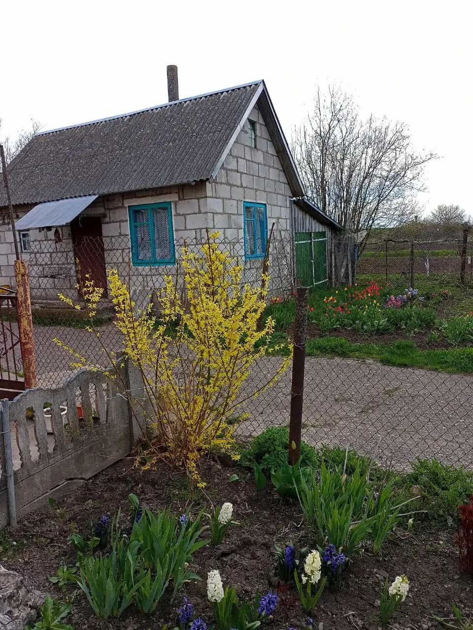 Беларусь, Гродненская область, Мостовский район, Песковский сельсовет, агрогородок Большая Рогозница, Заречная улица, 21, фото 4