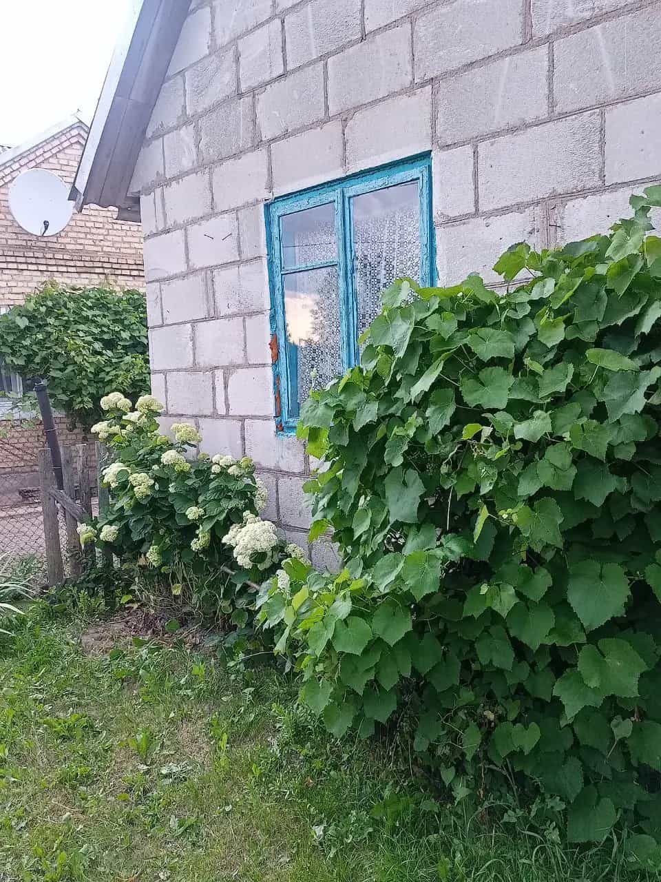 Беларусь, Гродненская область, Мостовский район, Песковский сельсовет, агрогородок Большая Рогозница, Заречная улица, 21, фото 8