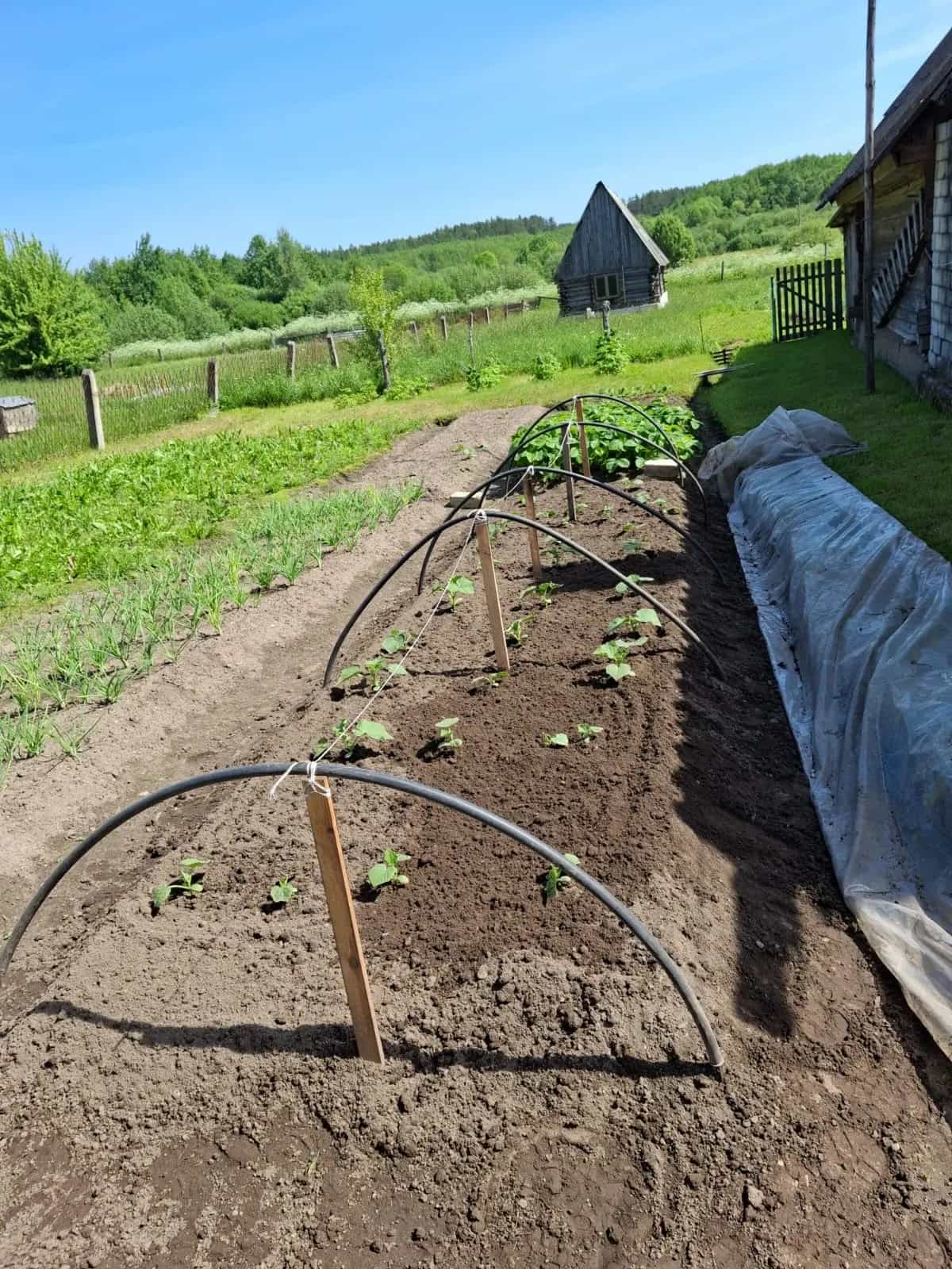 Беларусь, Гродненская область, Островецкий район, посёлок Гудогай, улица Таборишки, 42, фото 5