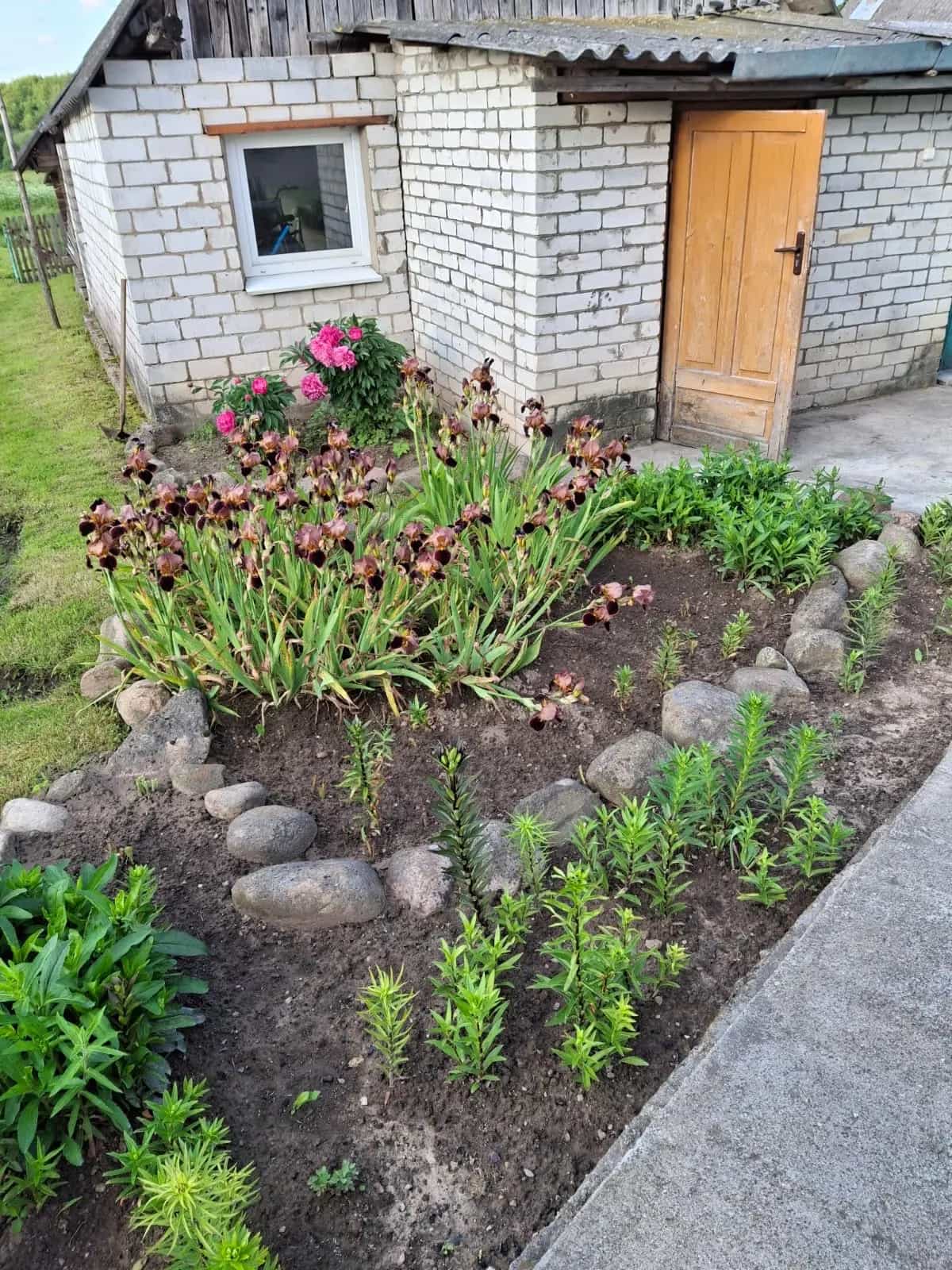 Беларусь, Гродненская область, Островецкий район, посёлок Гудогай, улица Таборишки, 42, фото 6