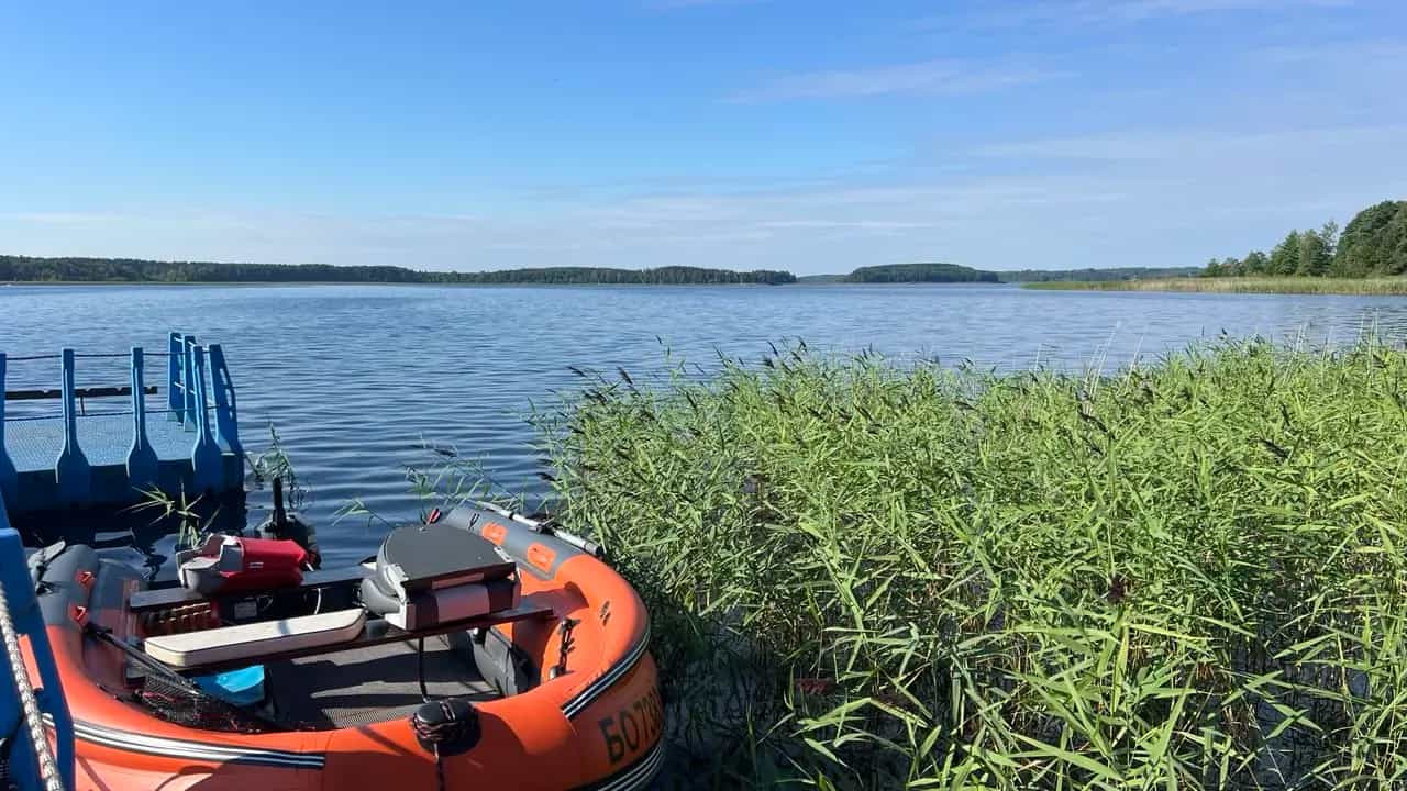 Беларусь, Витебская область, Браславский район, Плюсский сельсовет, деревня Чернишки, 9Б, фото 49