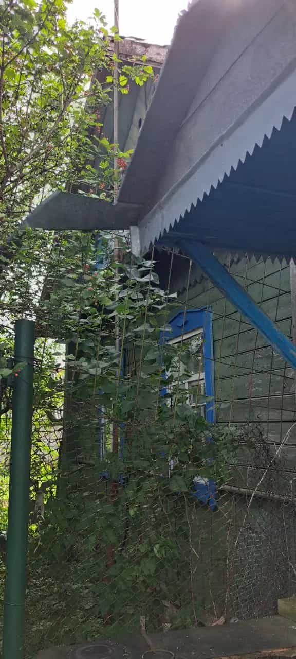 Беларусь, Могилёвская область, Славгород, улица Карла Маркса, 47, фото 3