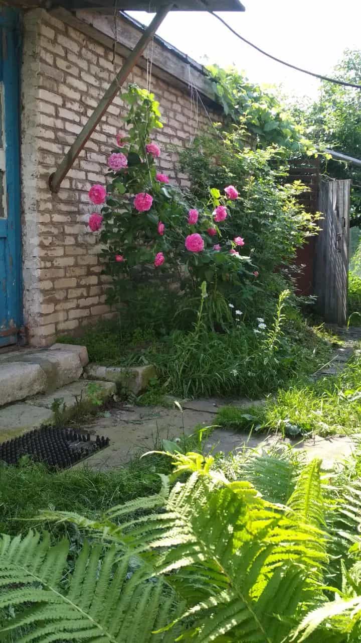 Беларусь, Могилёвская область, Славгород, улица Карла Маркса, 47, фото 12
