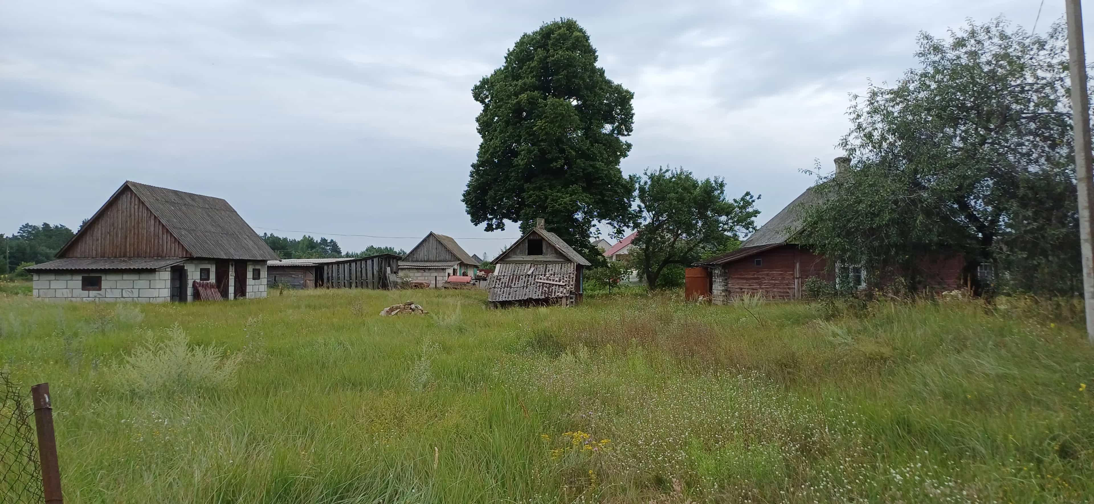 Беларусь, Брестский район, агрогородок Томашовка, Пушкинская улица, 2, фото 15