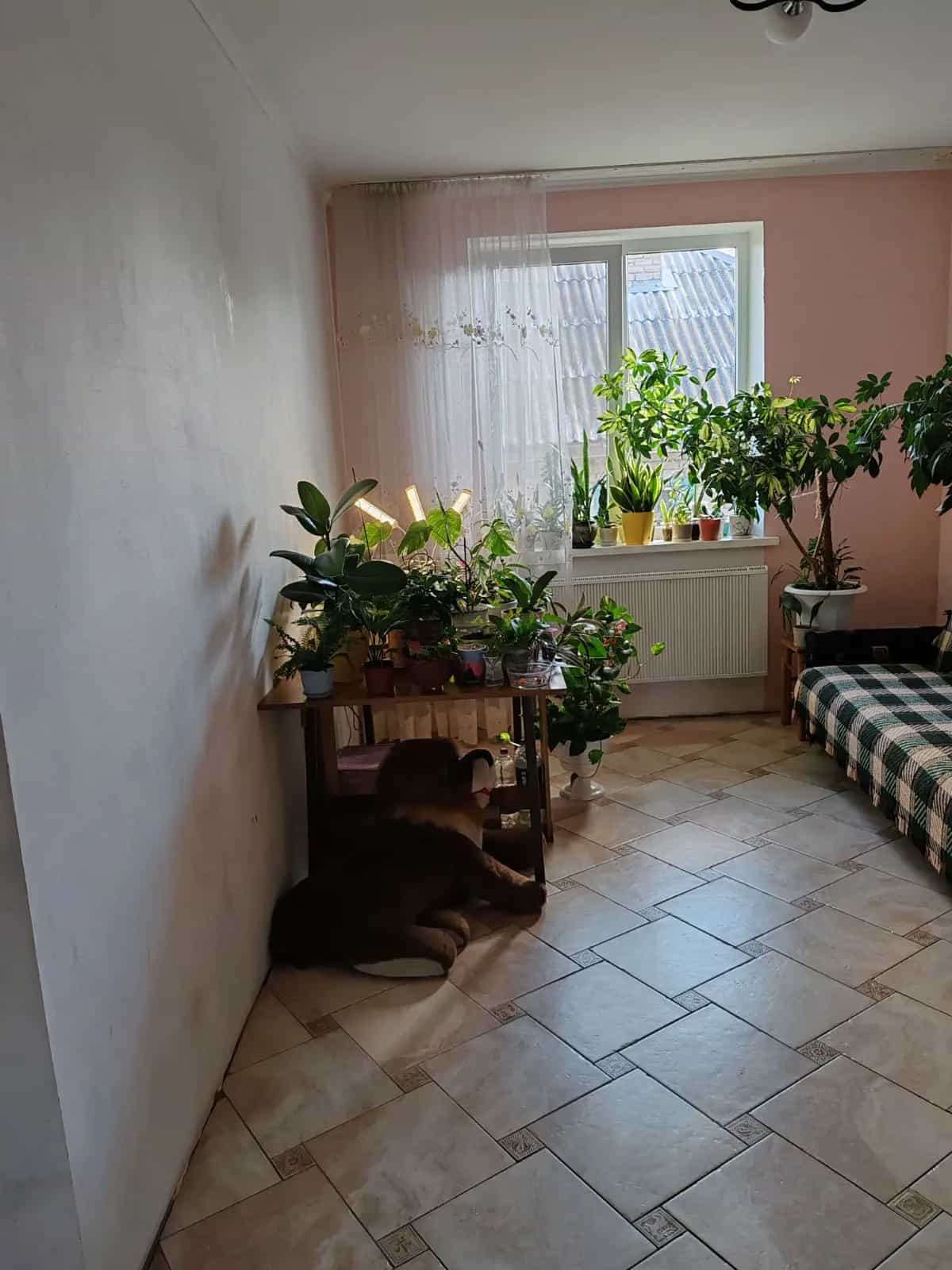 Беларусь, Минская область, Березино, Советская улица, 22, фото 5
