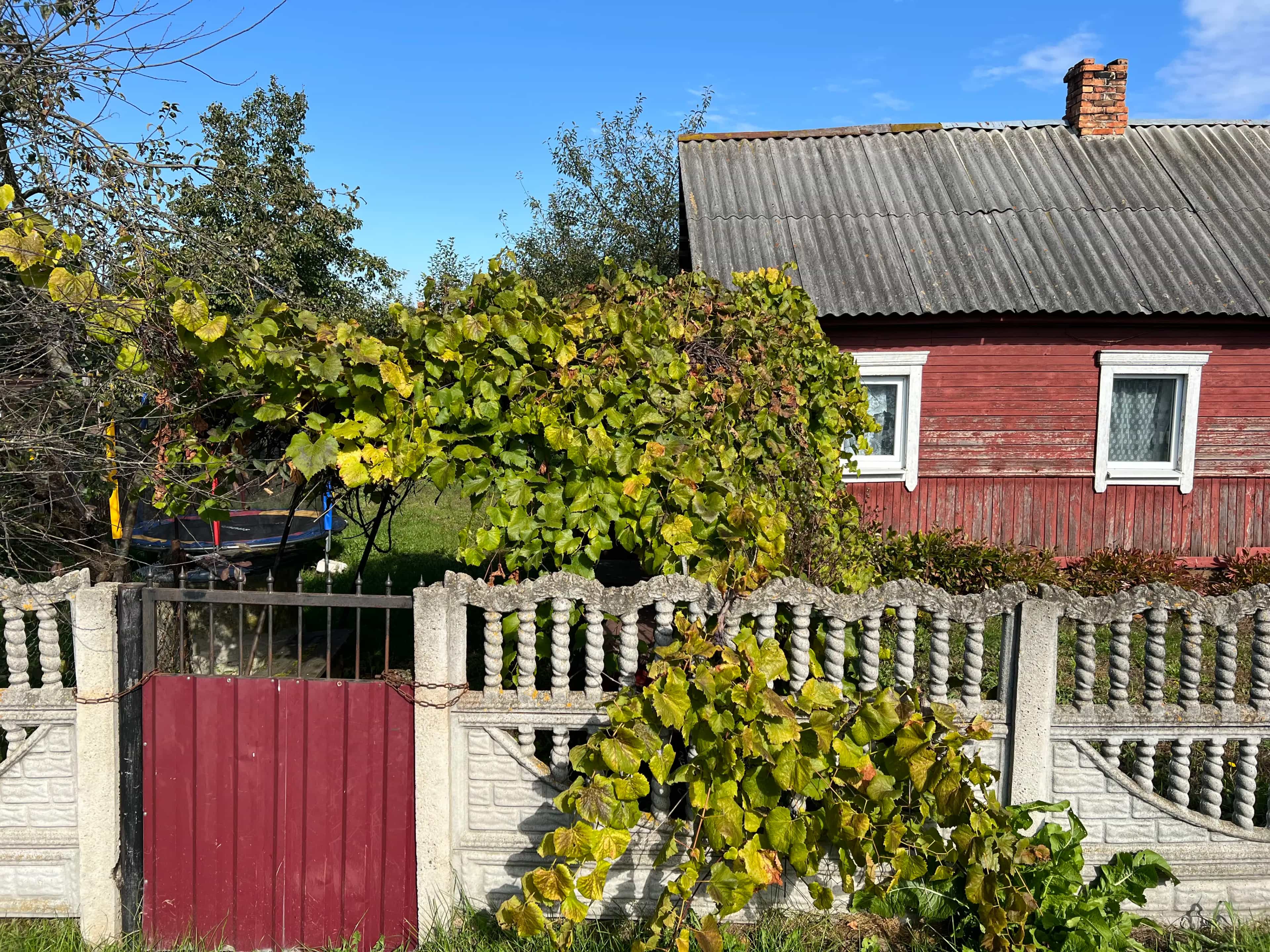 Беларусь, Брестская область, Лунинец, Лесная улица, 20, фото 2