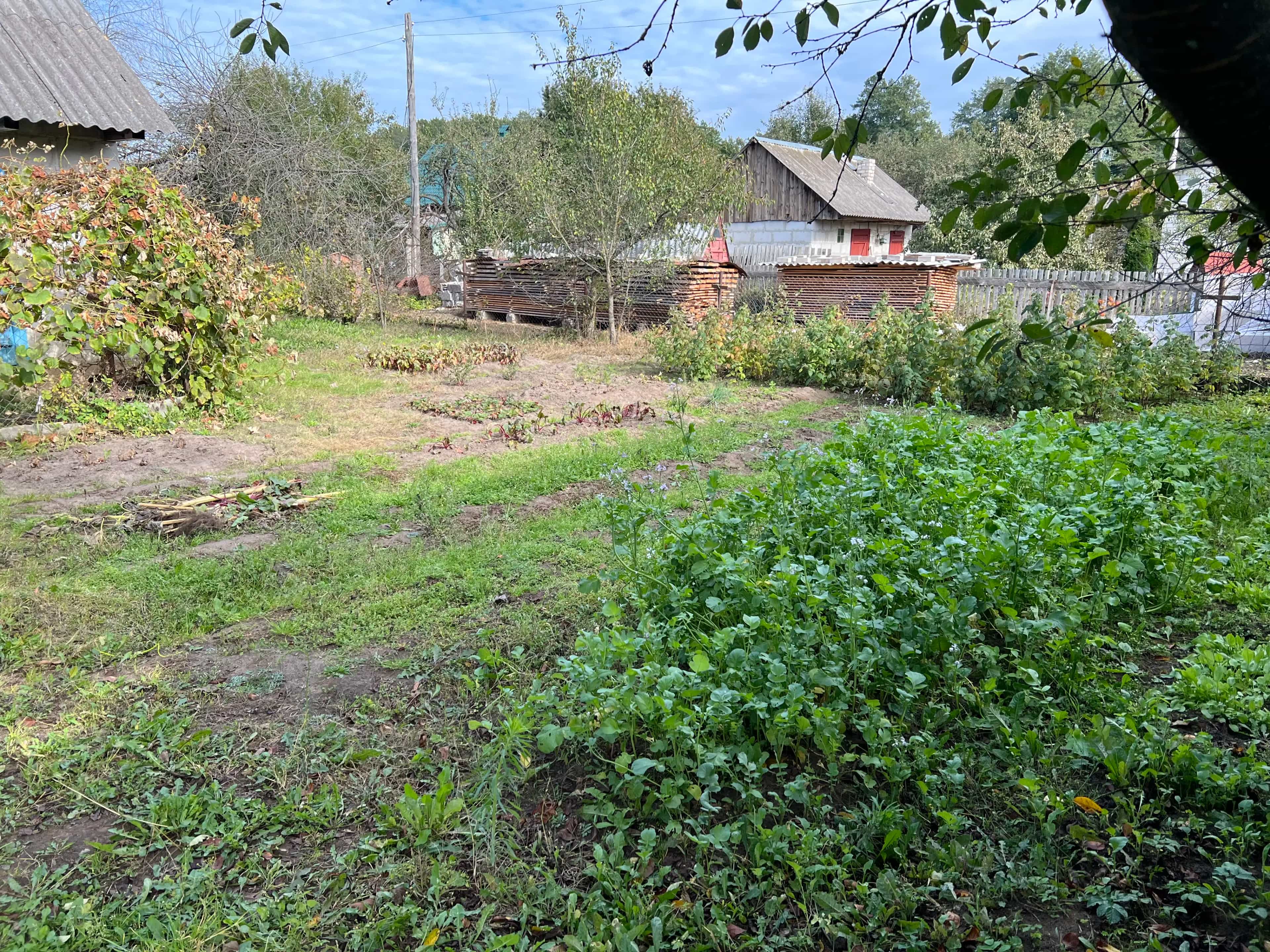 Беларусь, Брестская область, Лунинец, Лесная улица, 20, фото 8