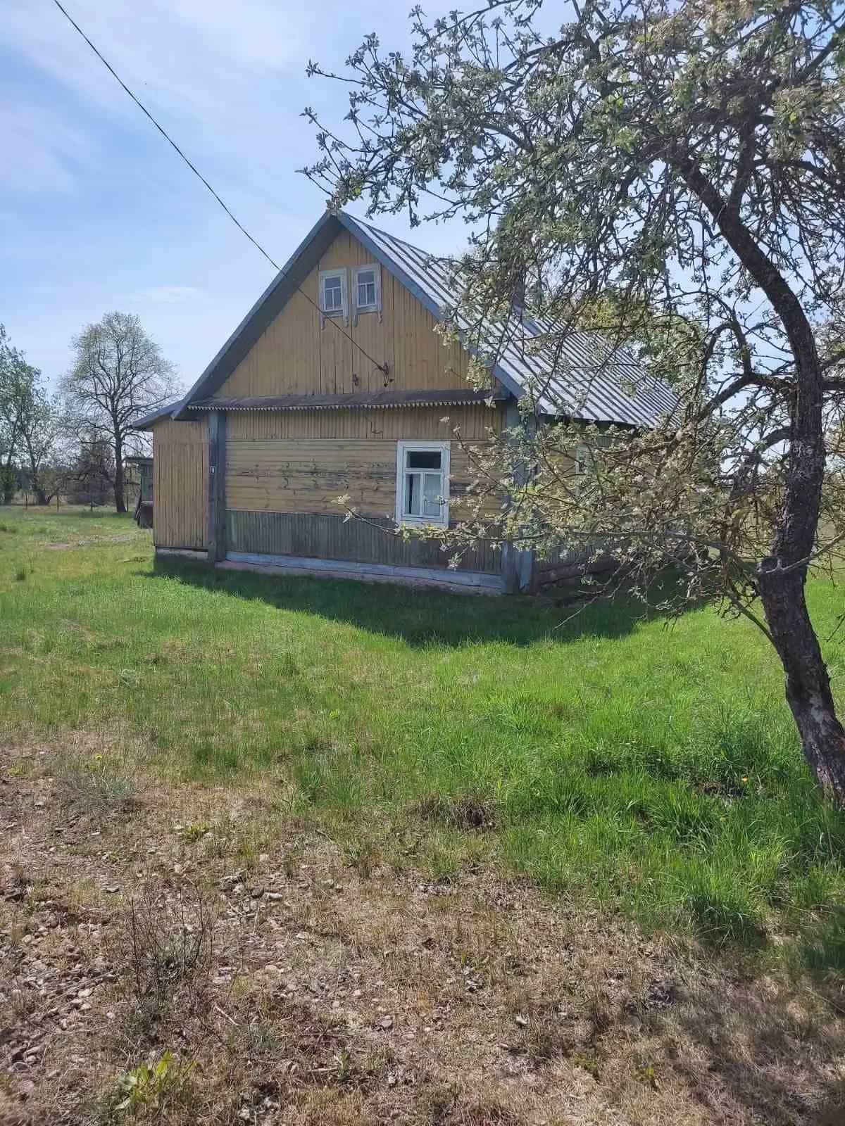 Беларусь, Гродненская область, Ивьевский сельсовет, деревня Большие Сонтаки, 15, фото 2
