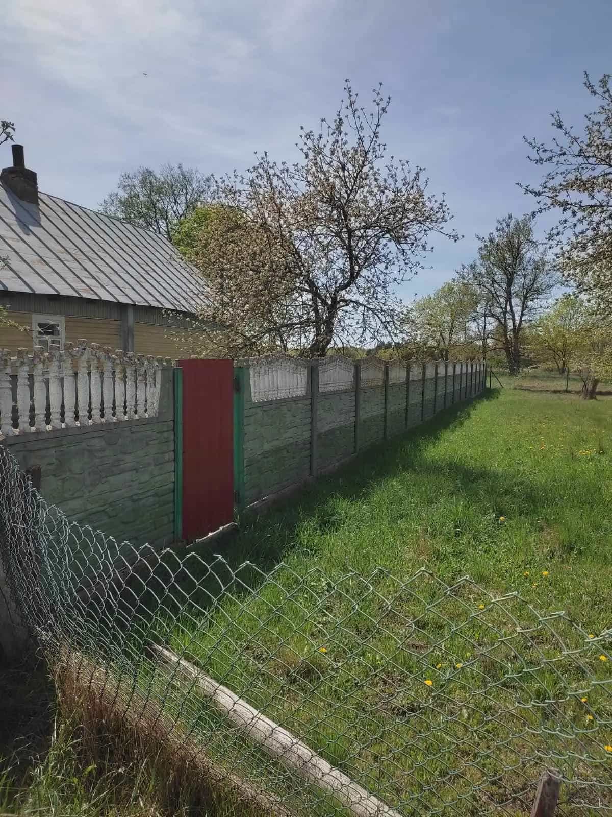 Беларусь, Гродненская область, Ивьевский сельсовет, деревня Большие Сонтаки, 15, фото 12