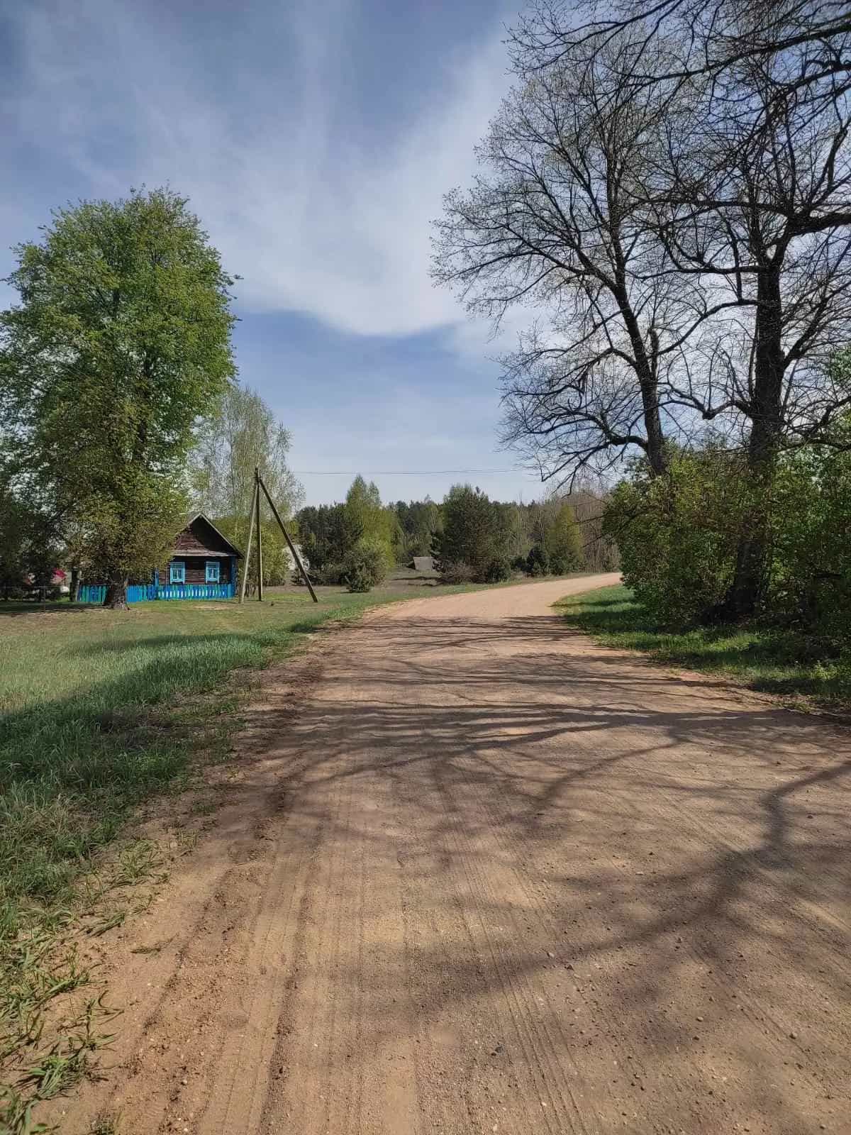 Беларусь, Гродненская область, Ивьевский сельсовет, деревня Большие Сонтаки, 15, фото 14
