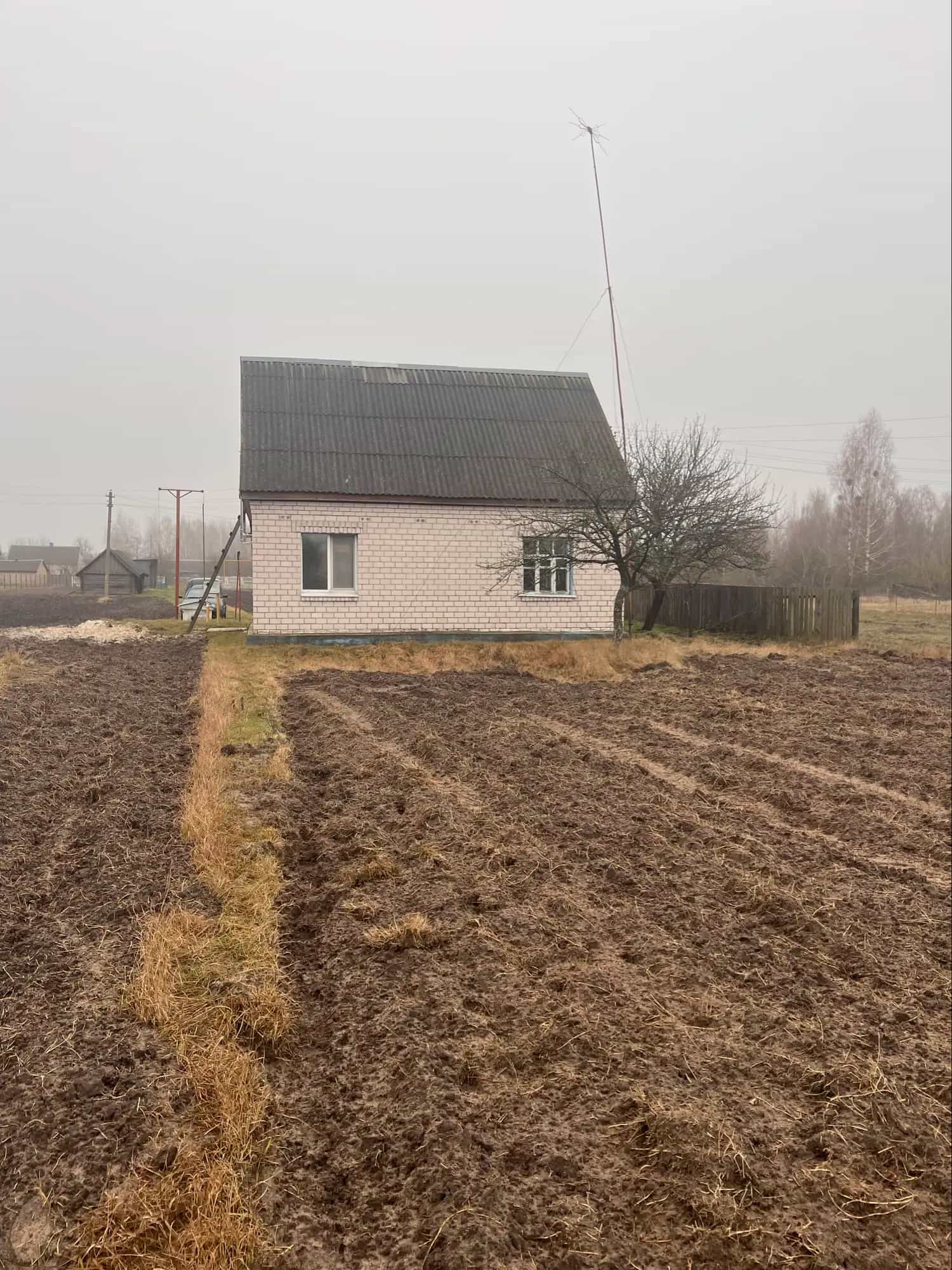 Беларусь, Брестская область, Лунинецкий район, агрогородок Синкевичи, улица Владимира Яроцкого, 11