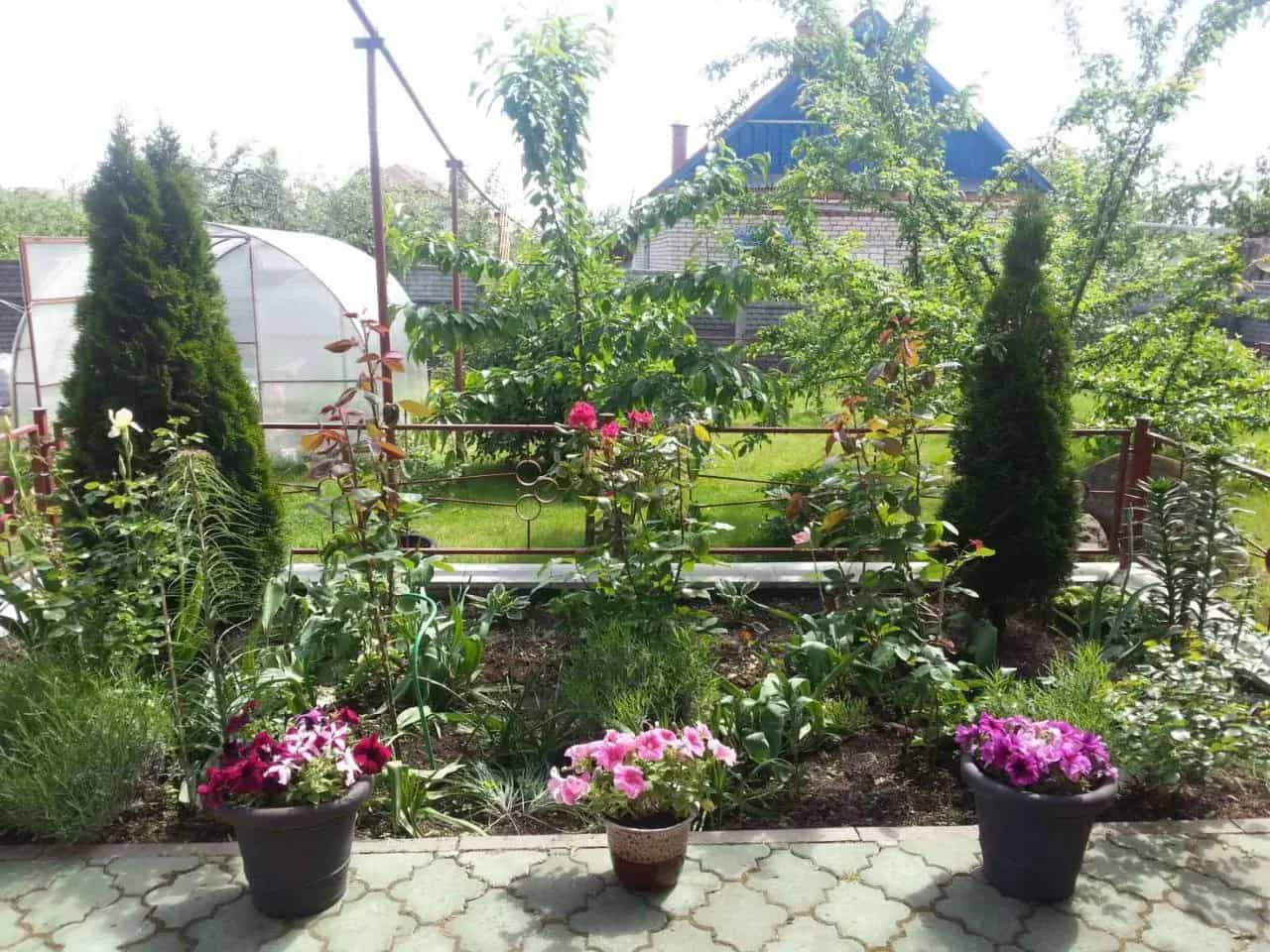 Беларусь, Гомельская область, Жлобин, Советская улица, 55Б, фото 16